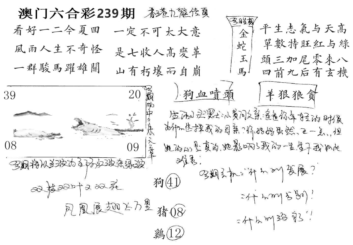 澳门手写九龙 第239期