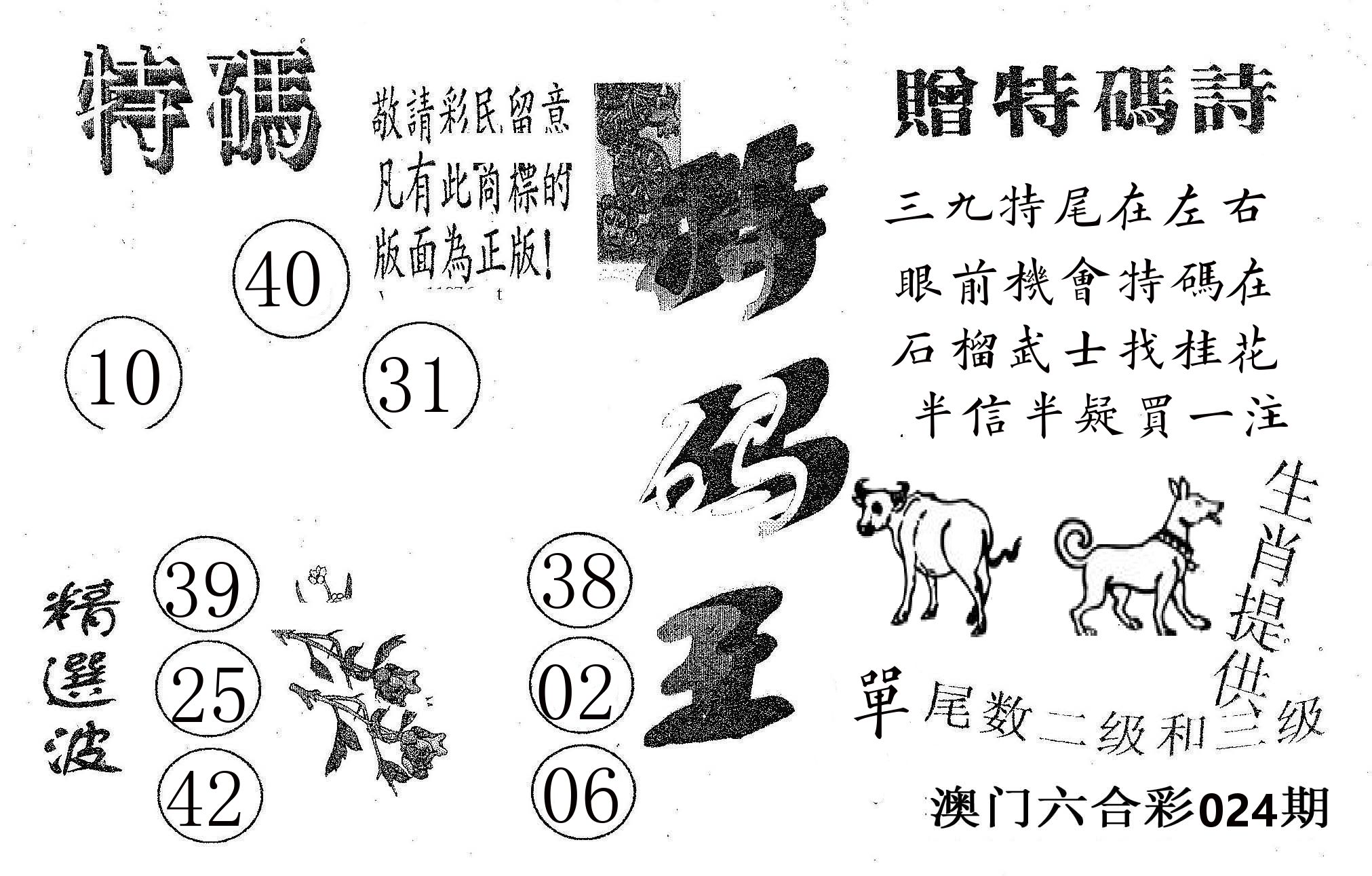 特码王A 第24期
