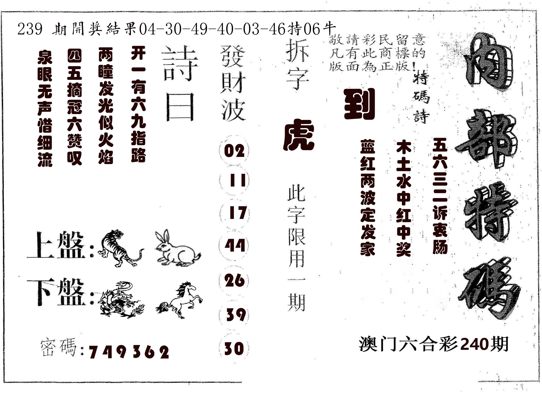 内部特码 第240期