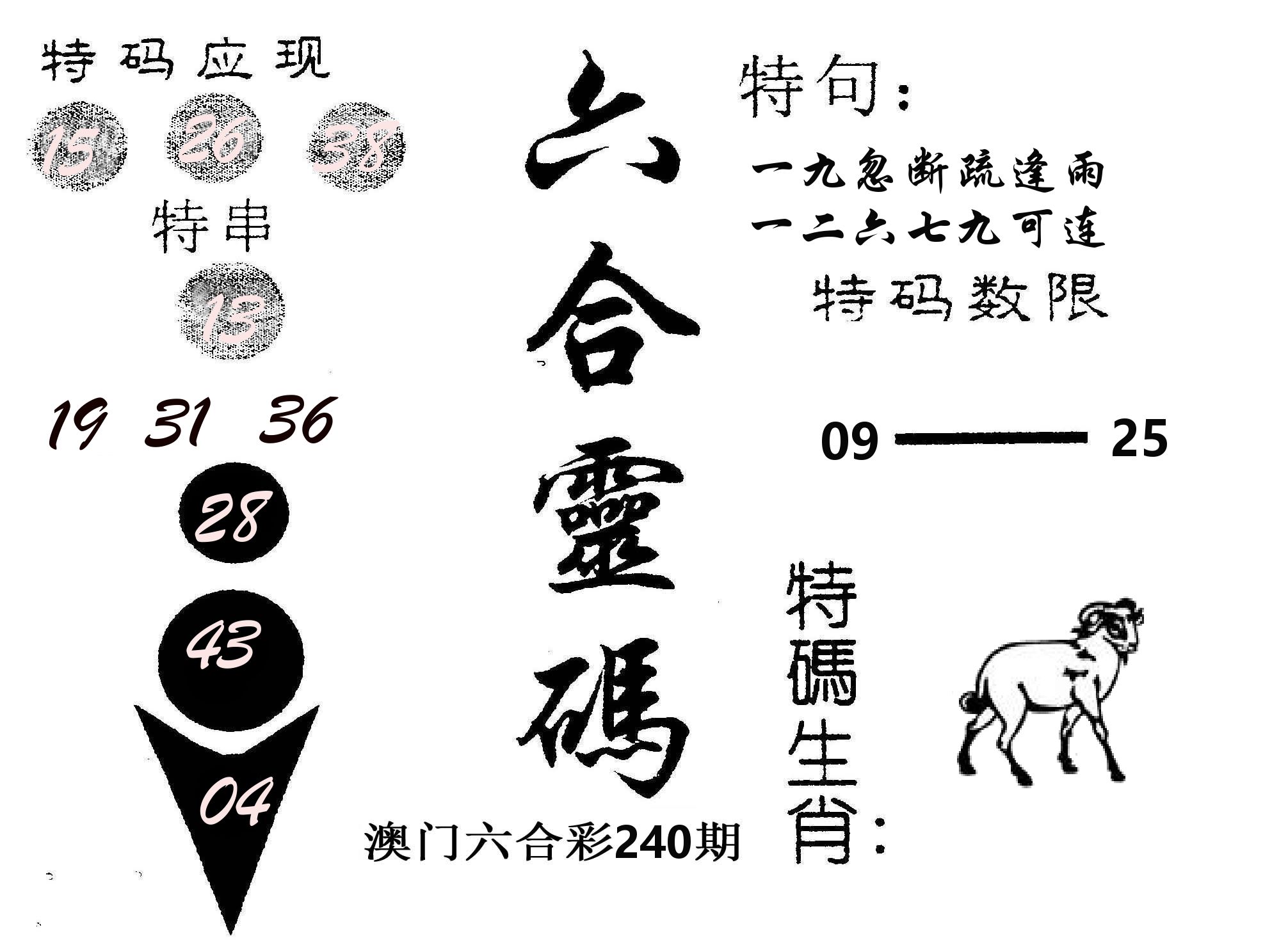 六合灵码 第240期