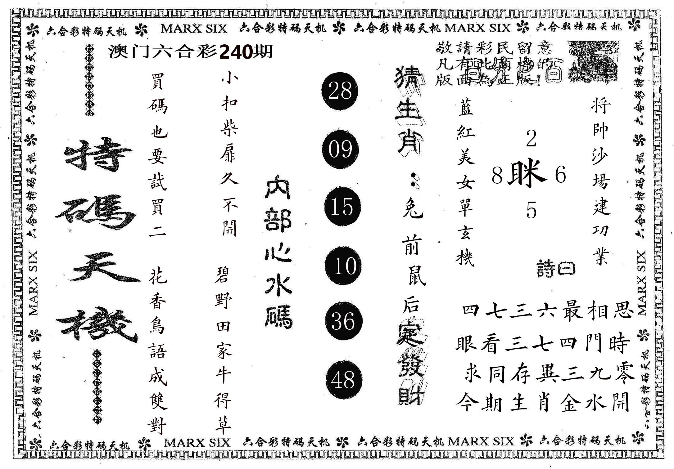 特码天机 第240期