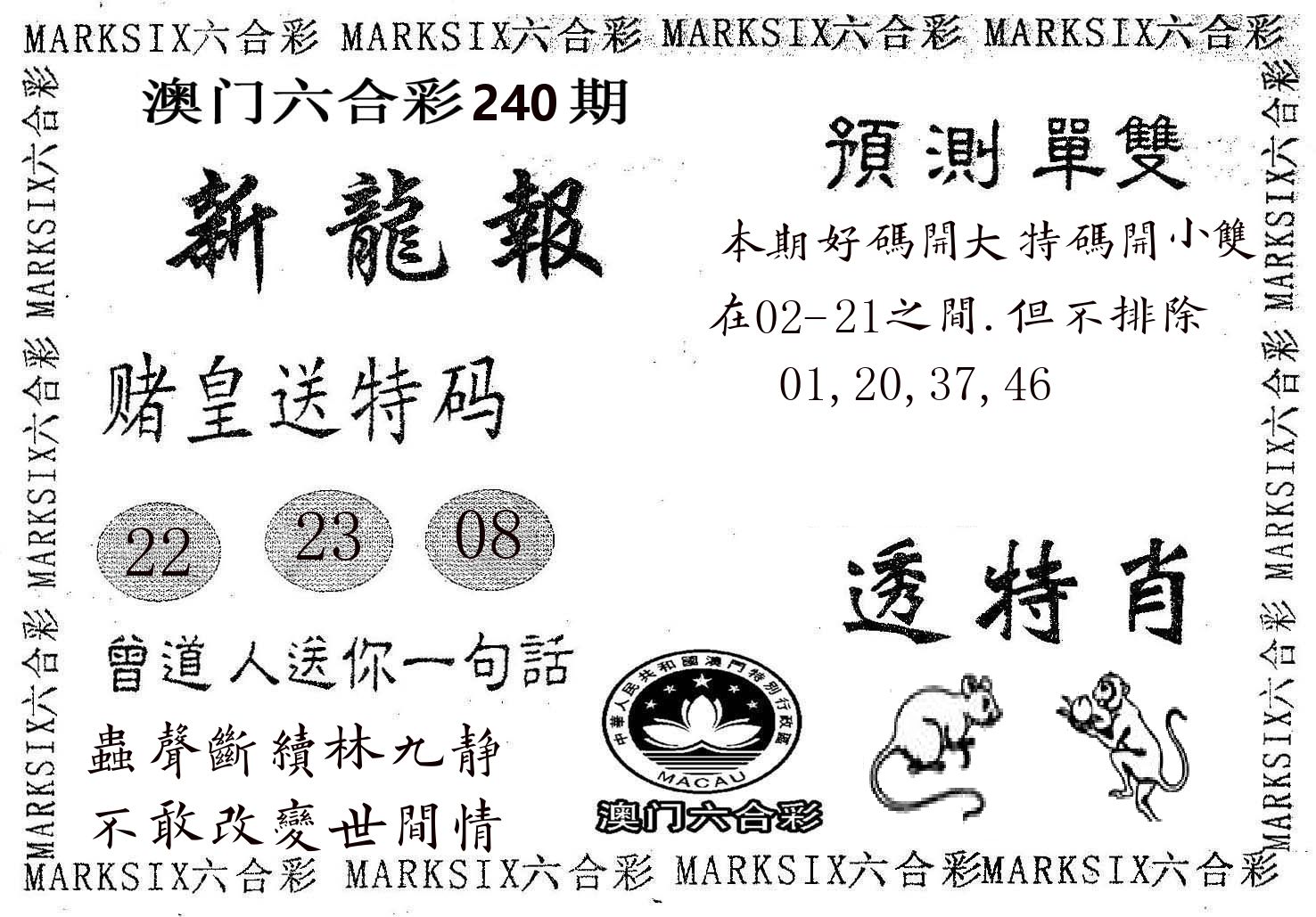 新龙报 第240期
