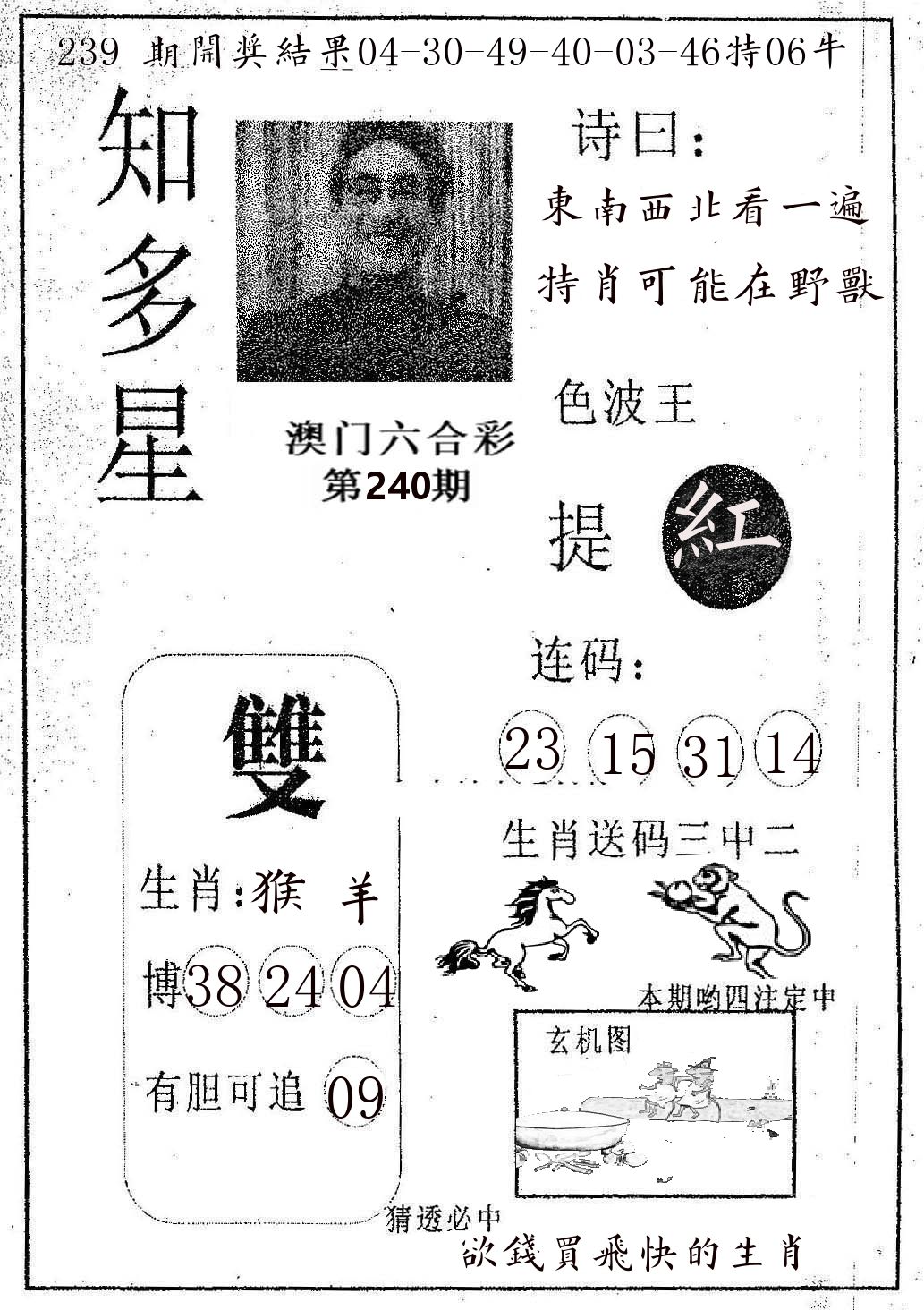 知多星 第240期