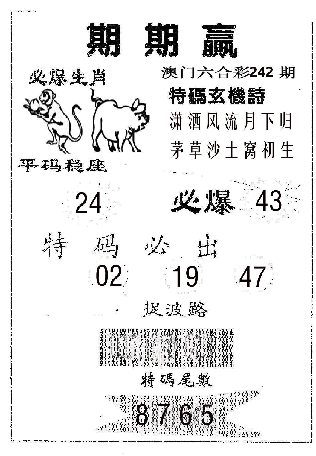 期期赢 第242期