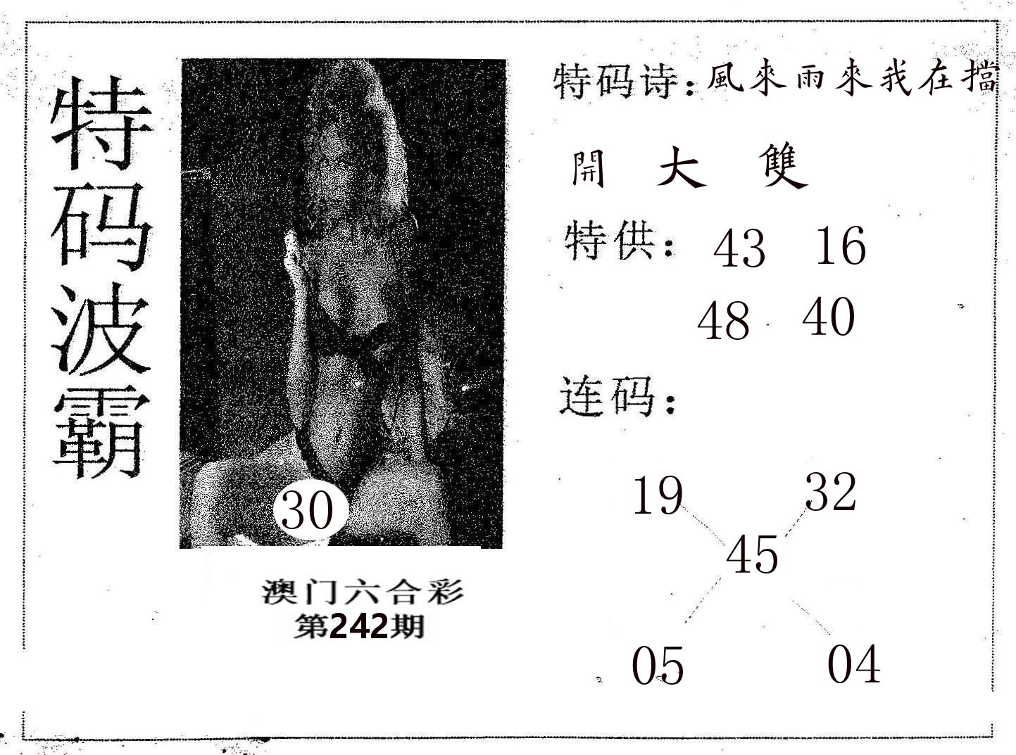 特码波霸 第242期