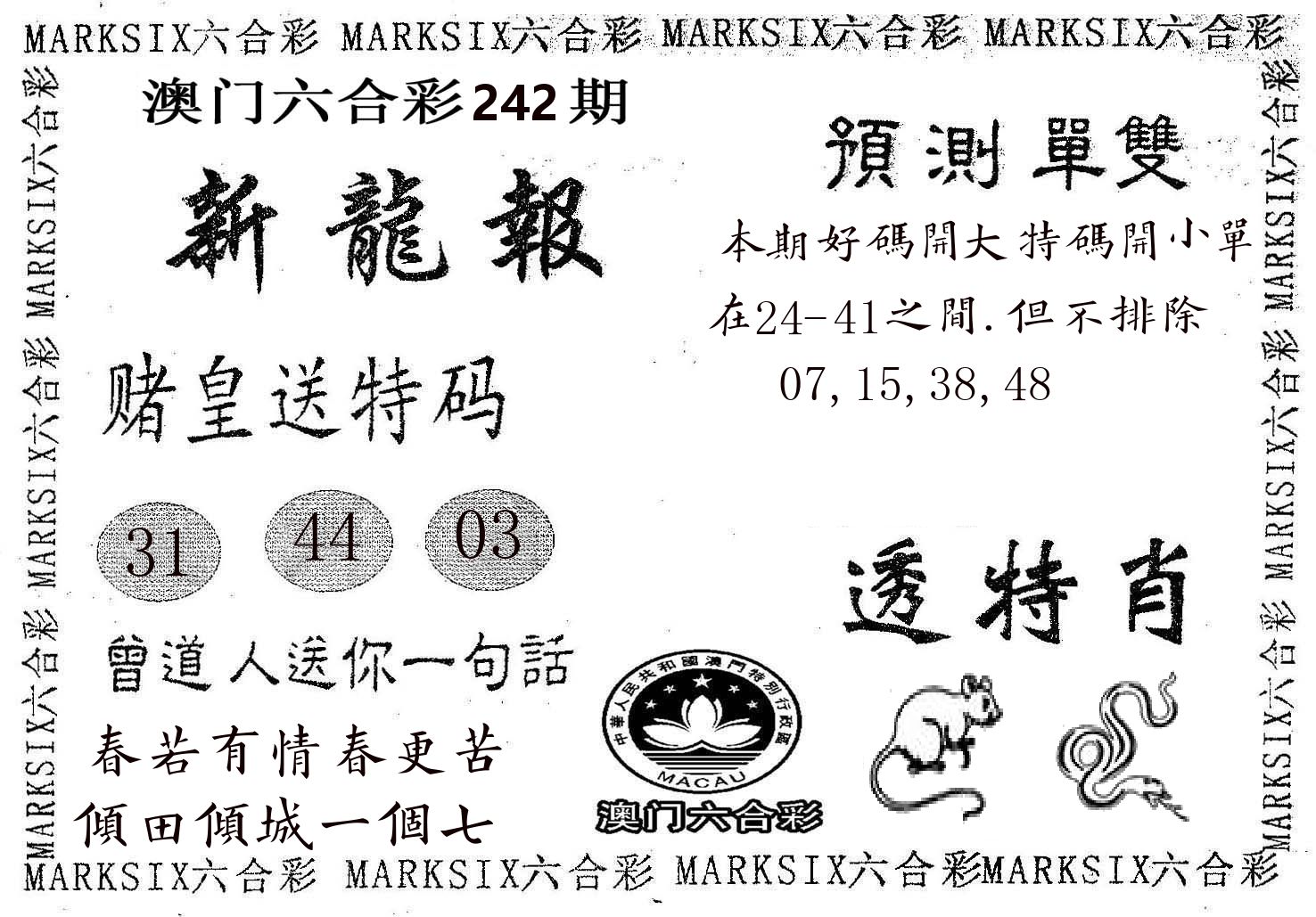 新龙报 第242期