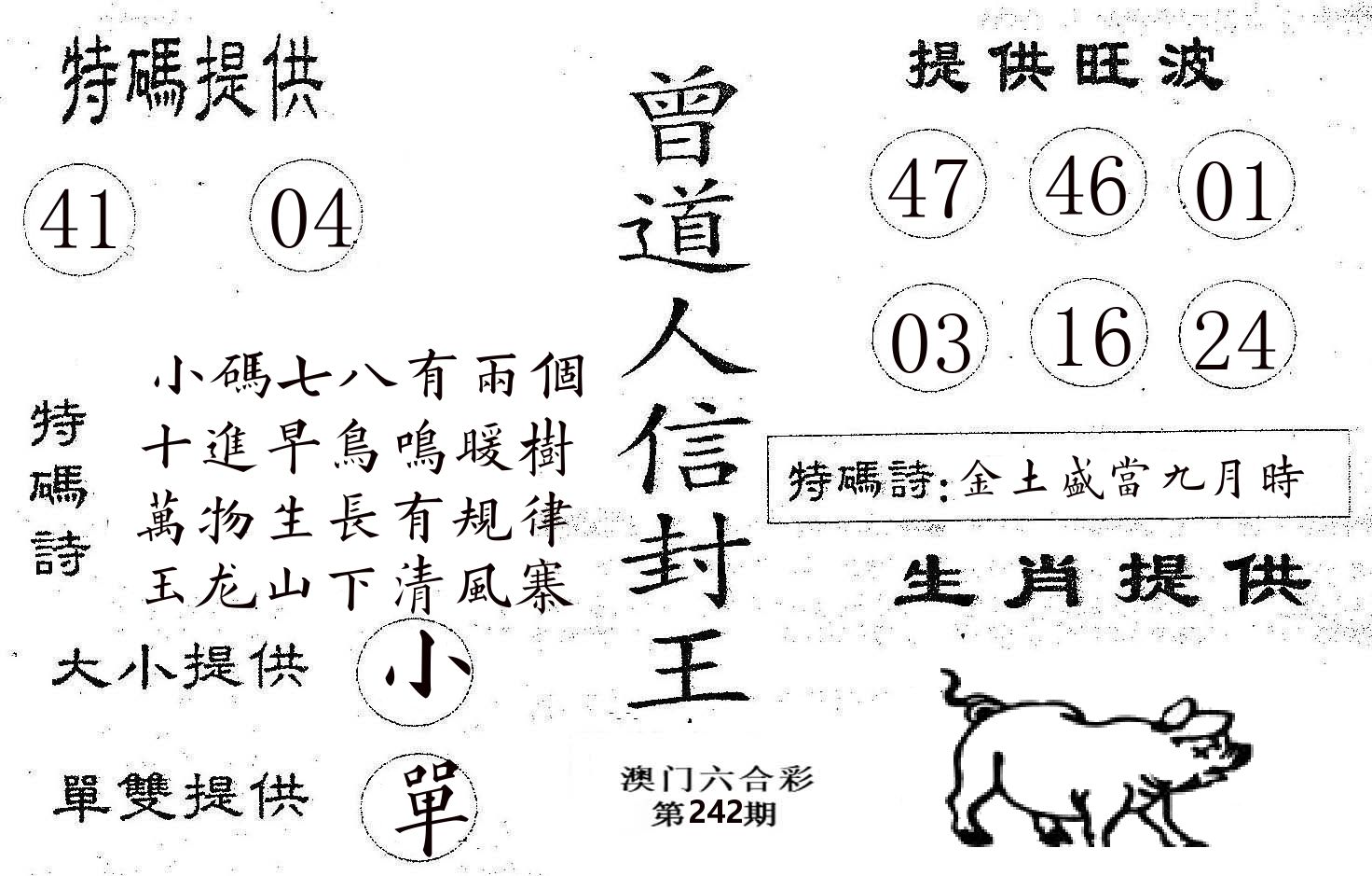 曾信封王 第242期