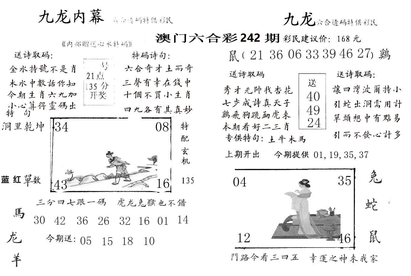 九龙内幕 第242期