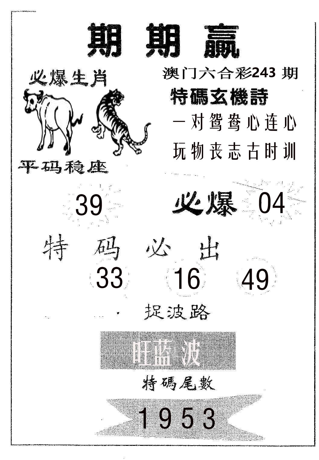 期期赢 第243期