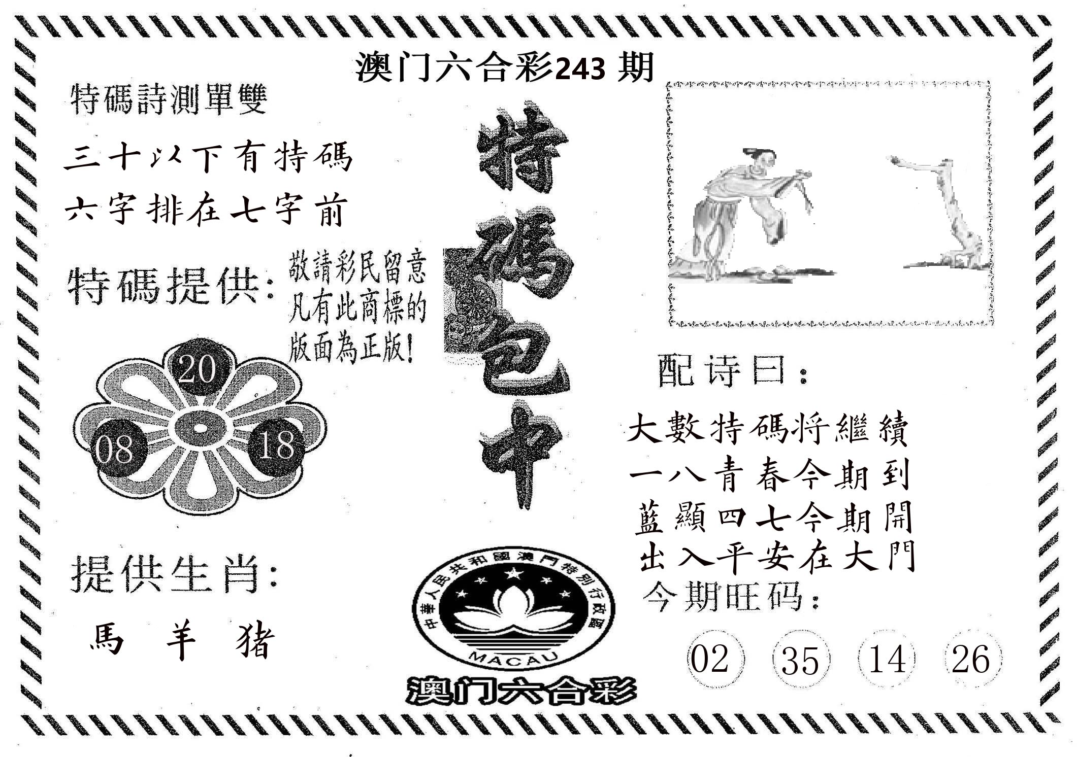 特码包中 第243期