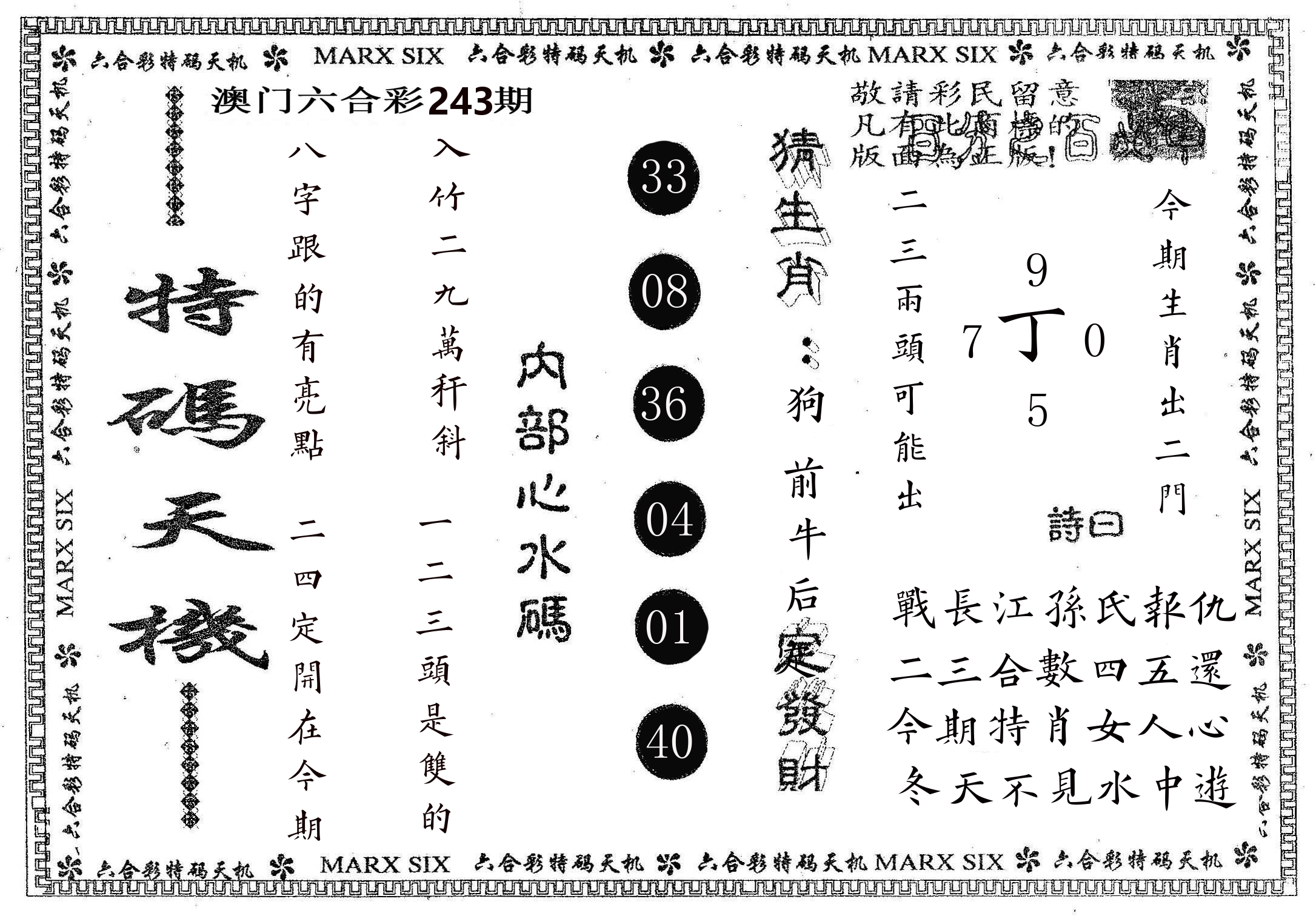 特码天机 第243期