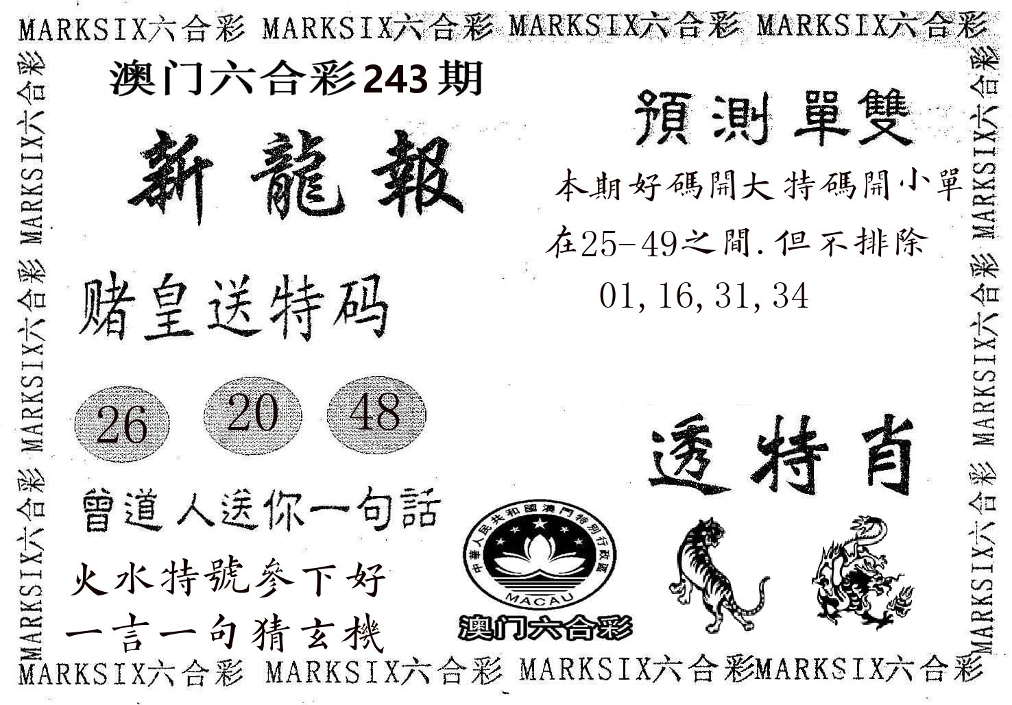 新龙报 第243期
