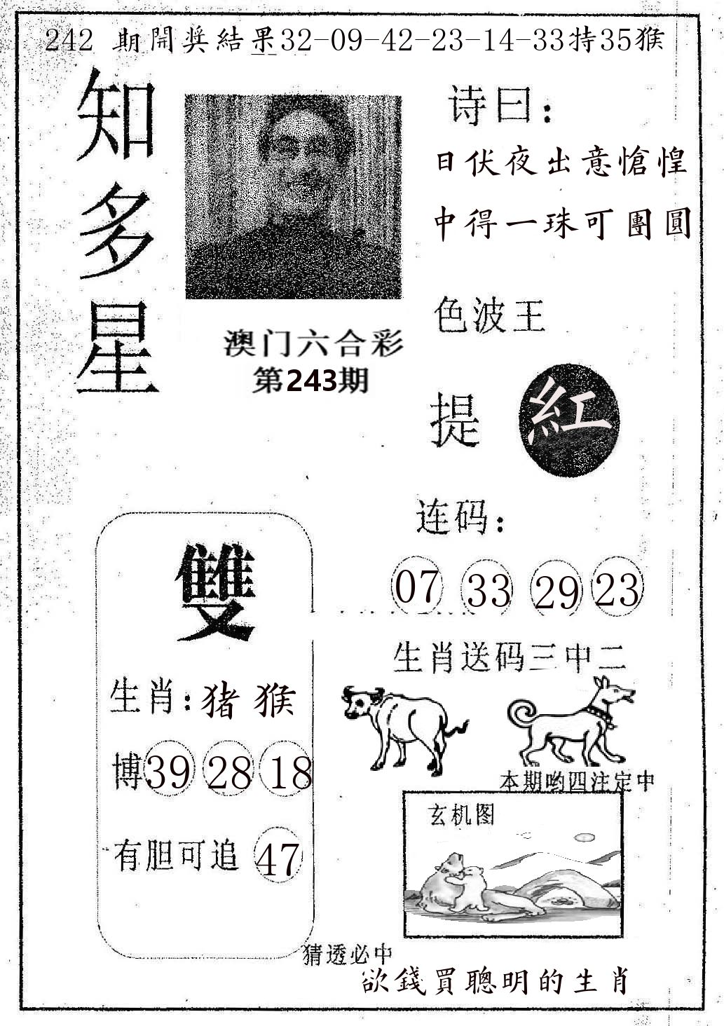 知多星 第243期