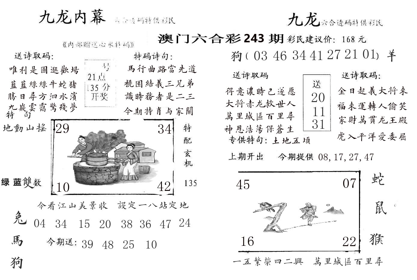 九龙内幕 第243期