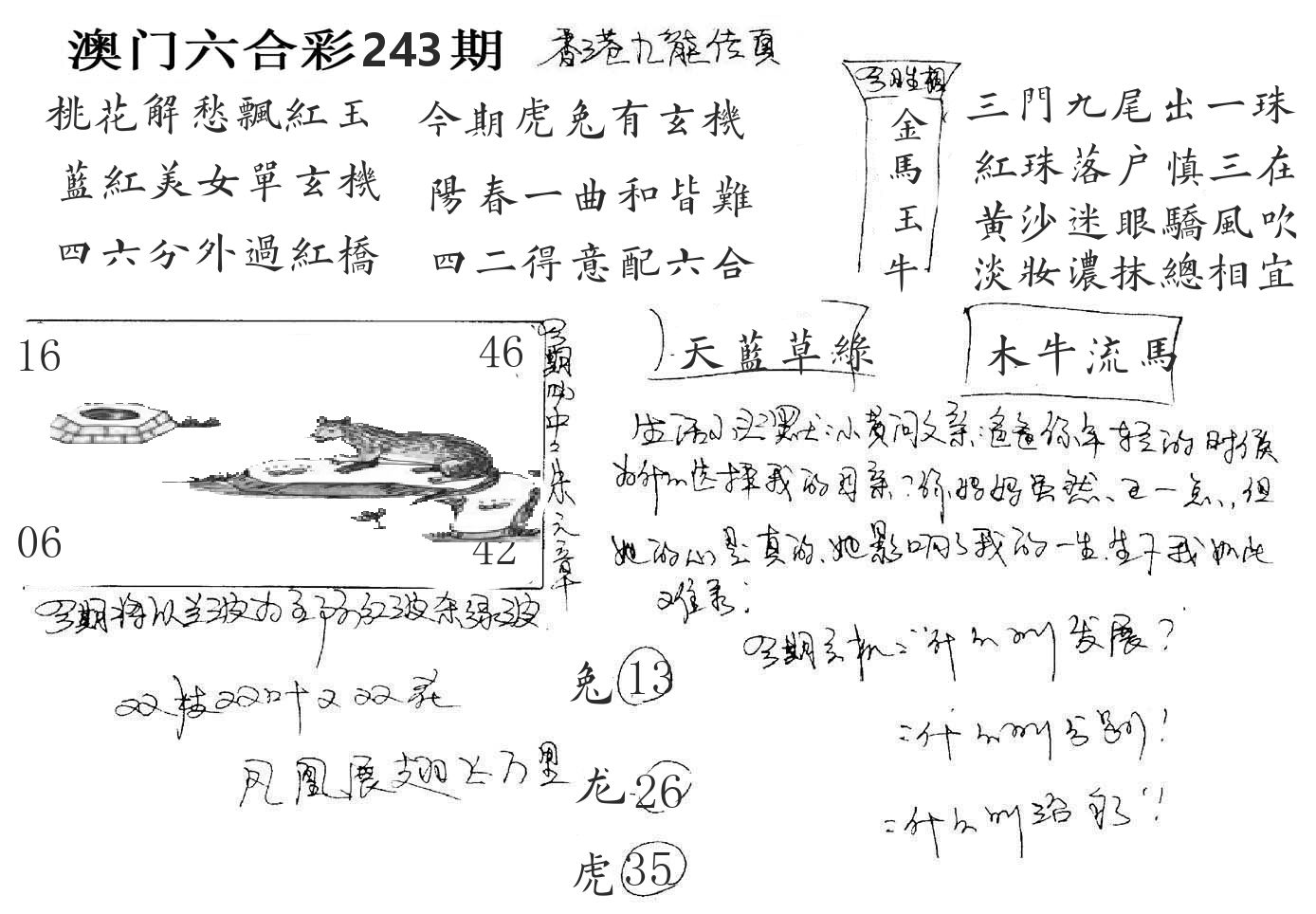 澳门手写九龙 第243期
