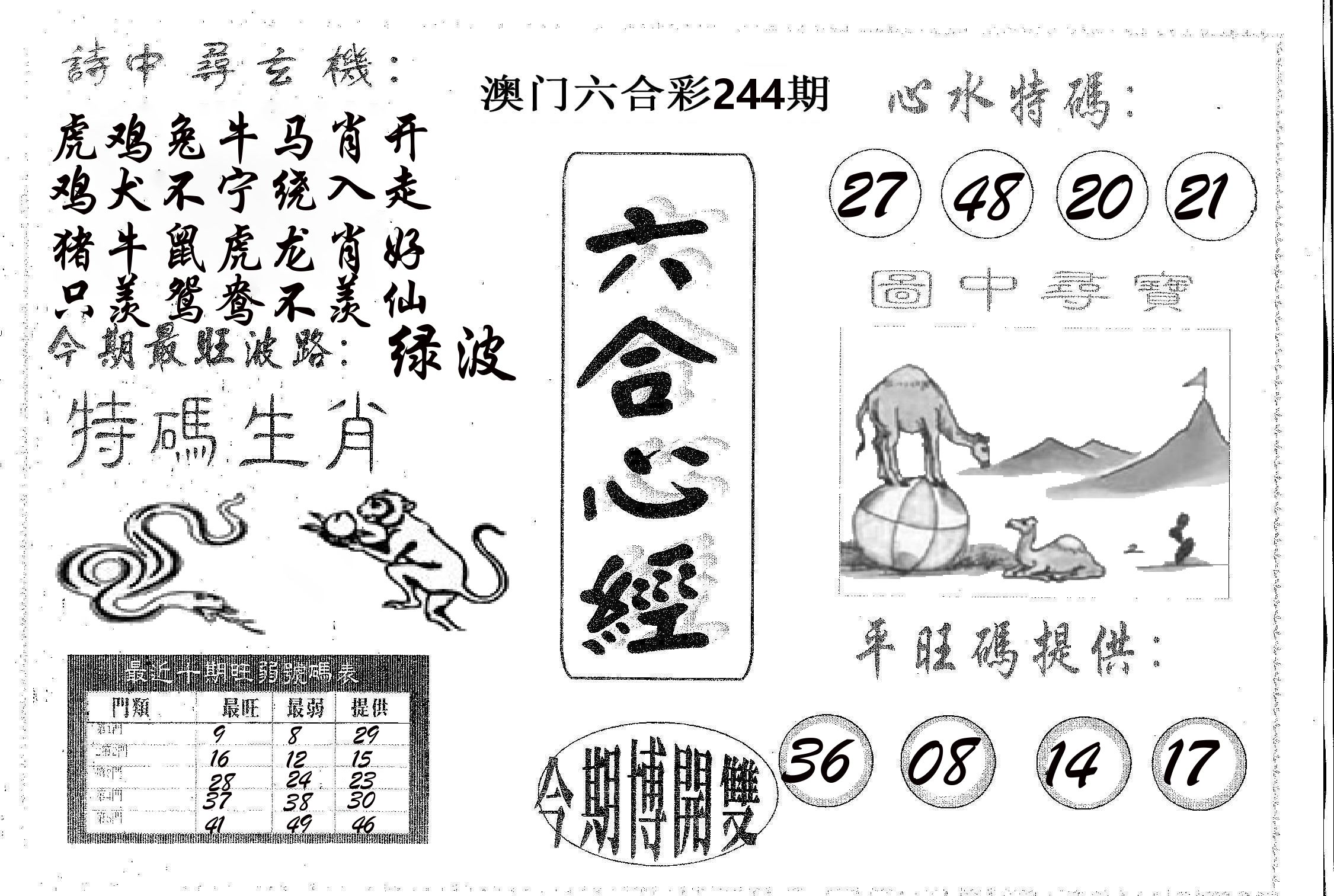 六合心经 第244期