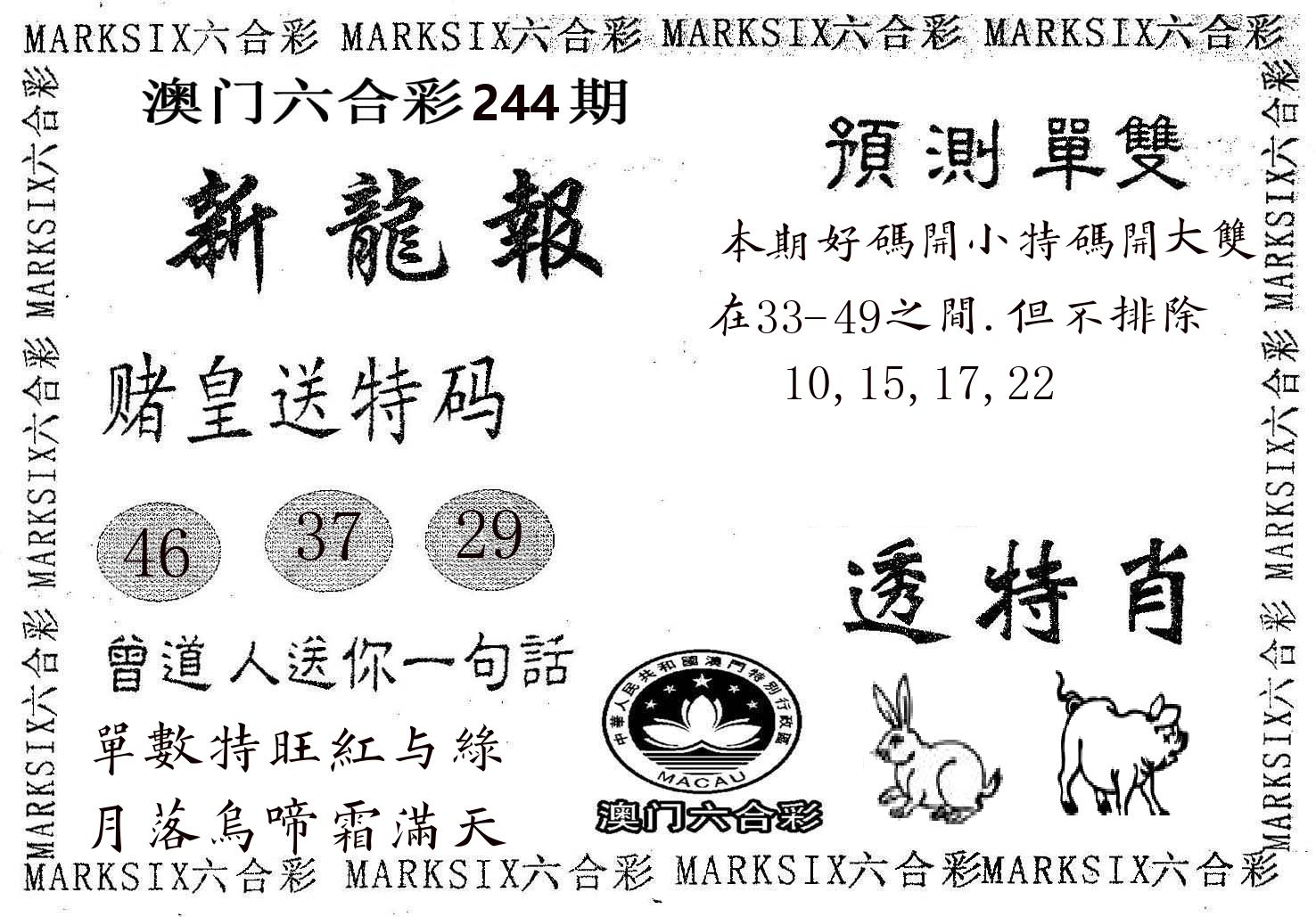 新龙报 第244期