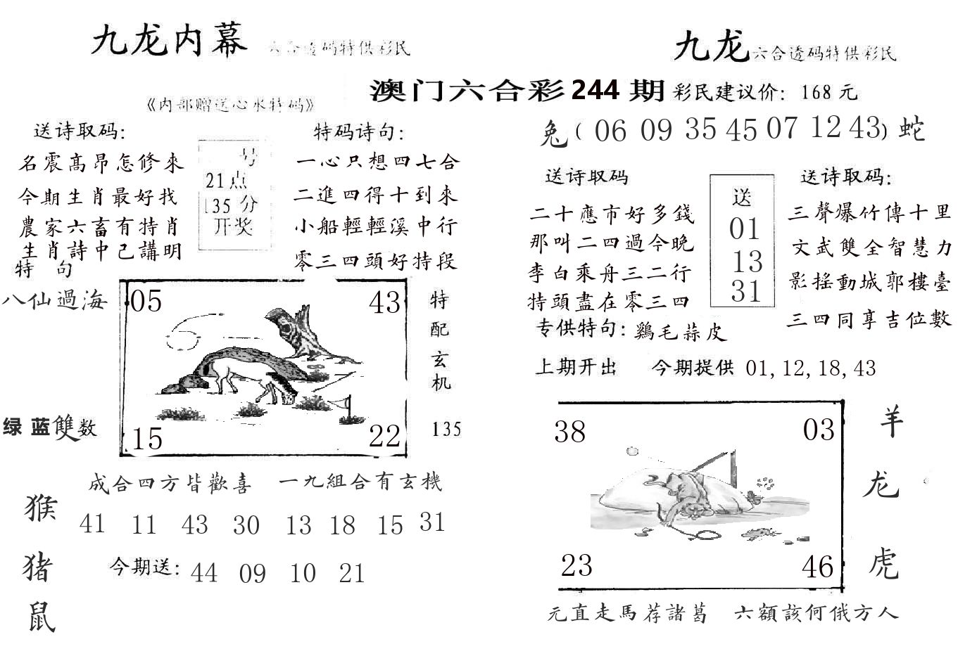 九龙内幕 第244期