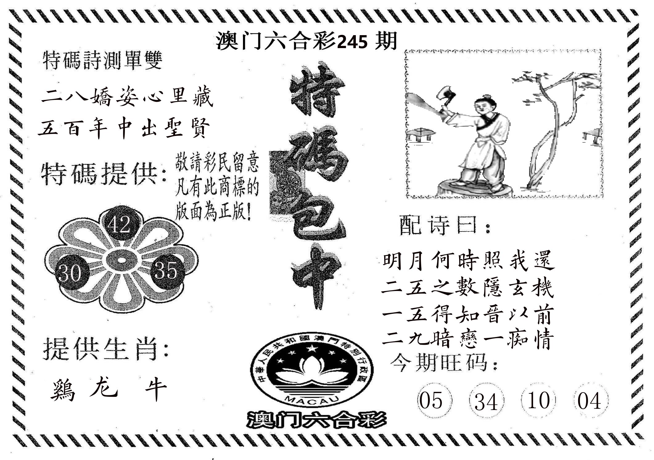 特码包中 第245期