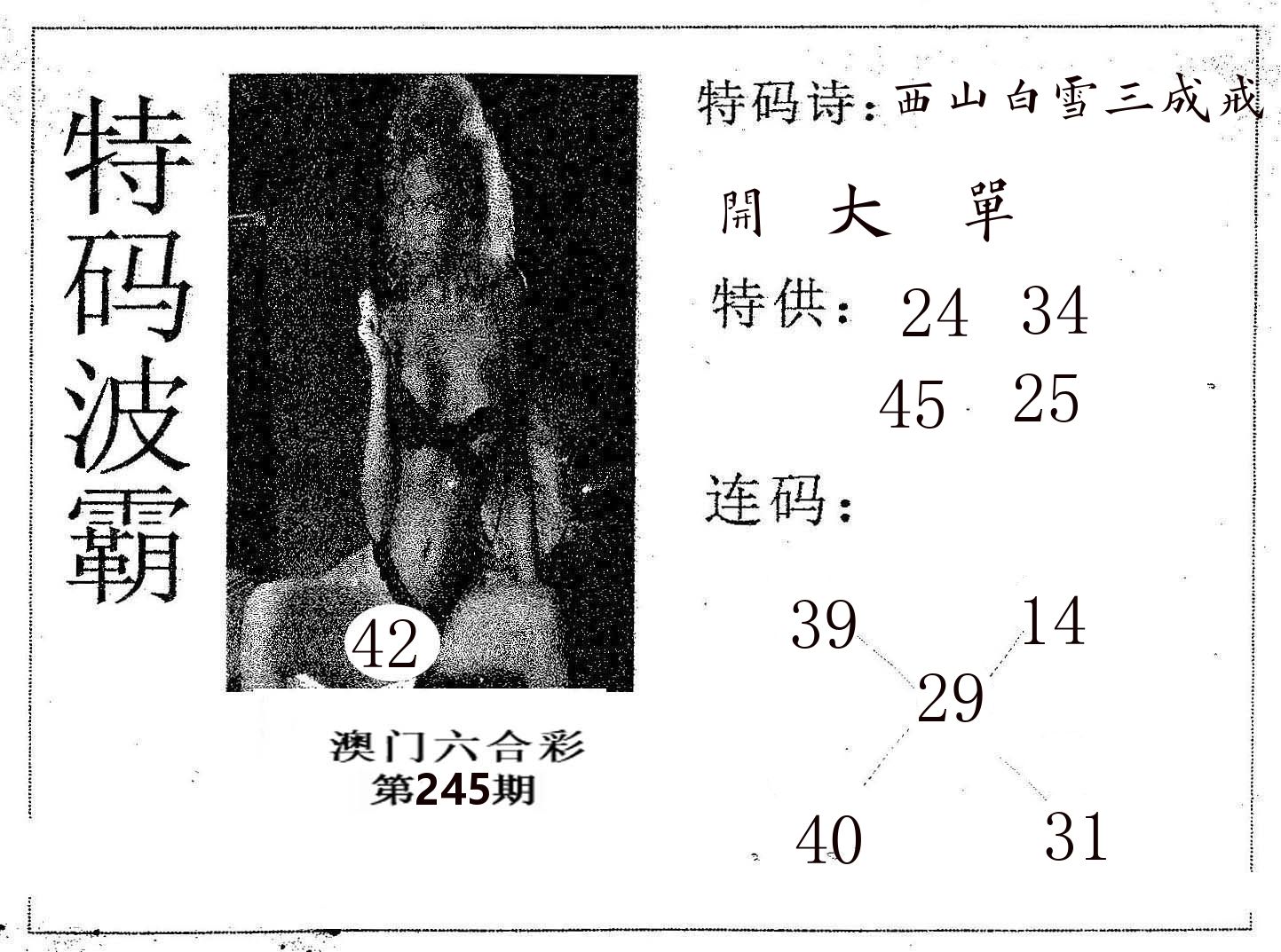 特码波霸 第245期