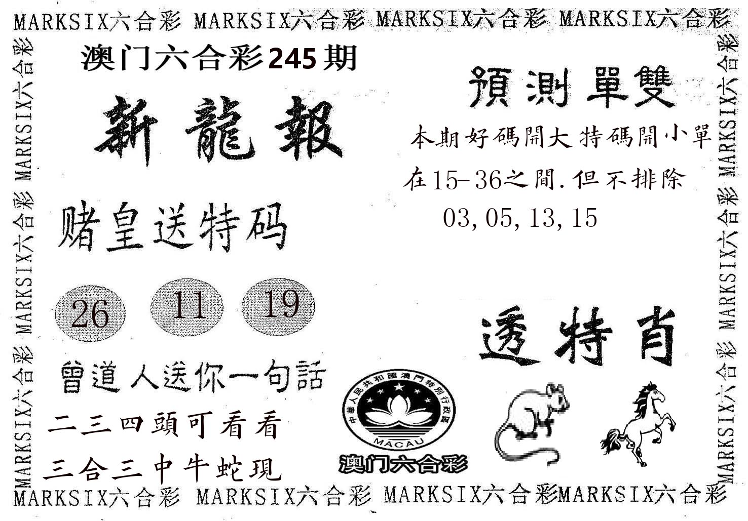 新龙报 第245期
