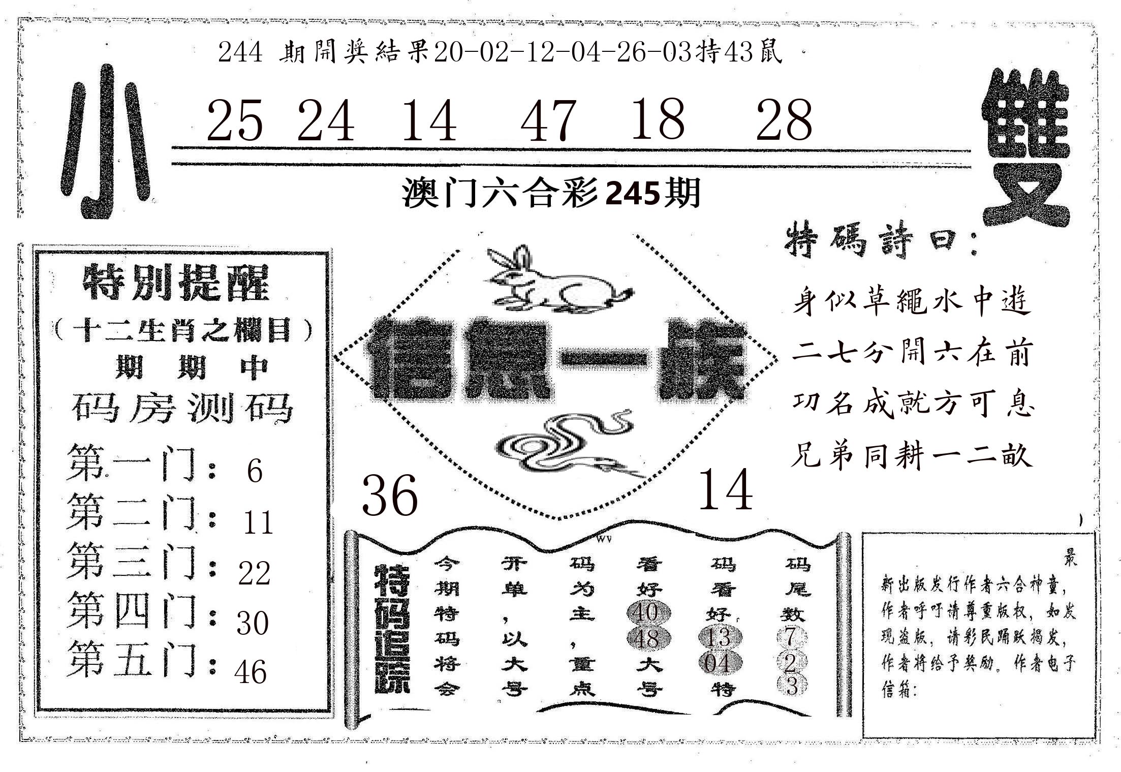 信息一族 第245期