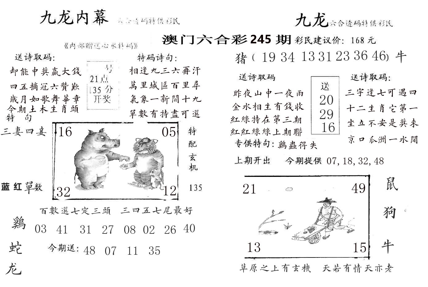 九龙内幕 第245期