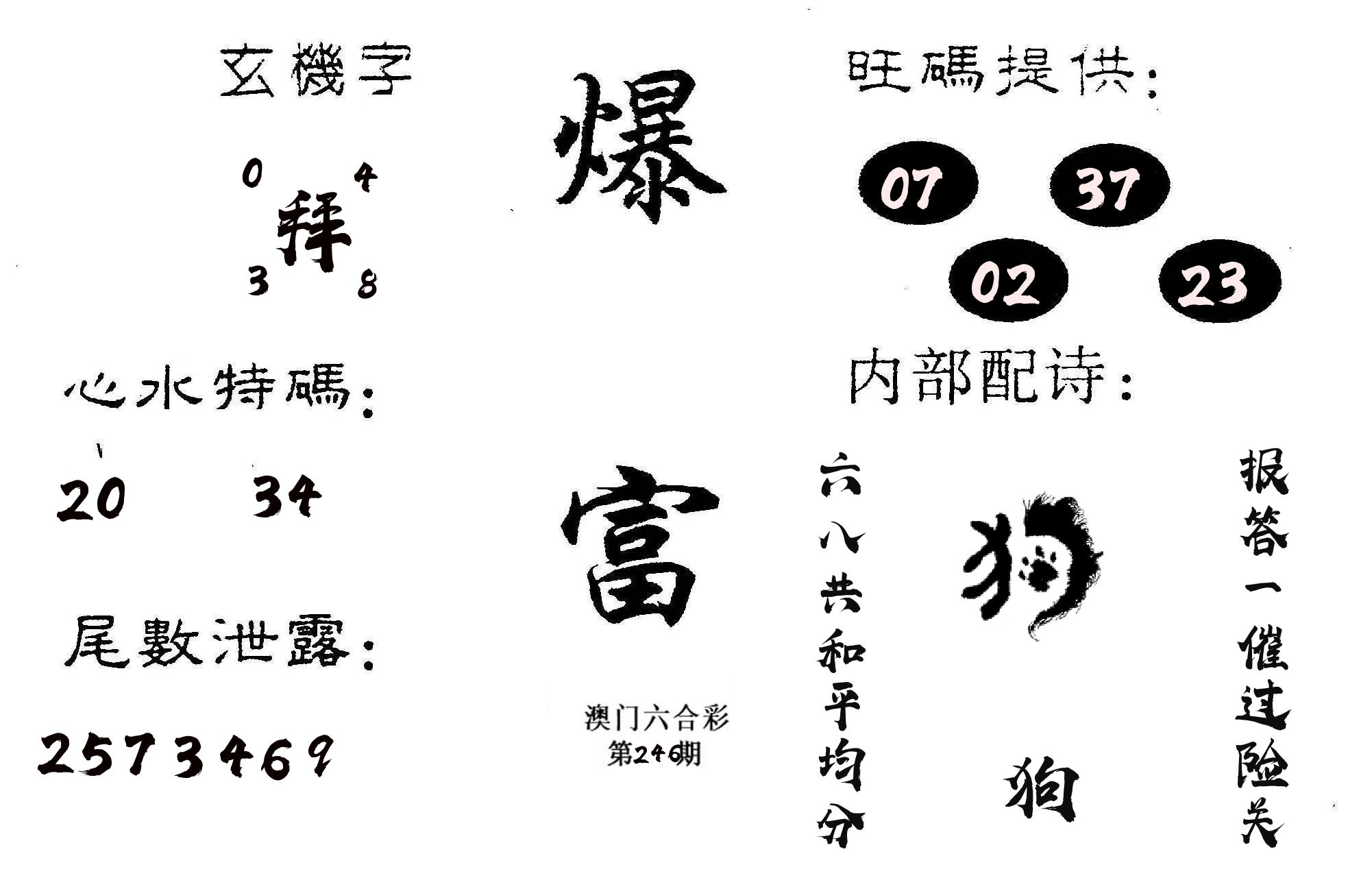 爆富 第246期
