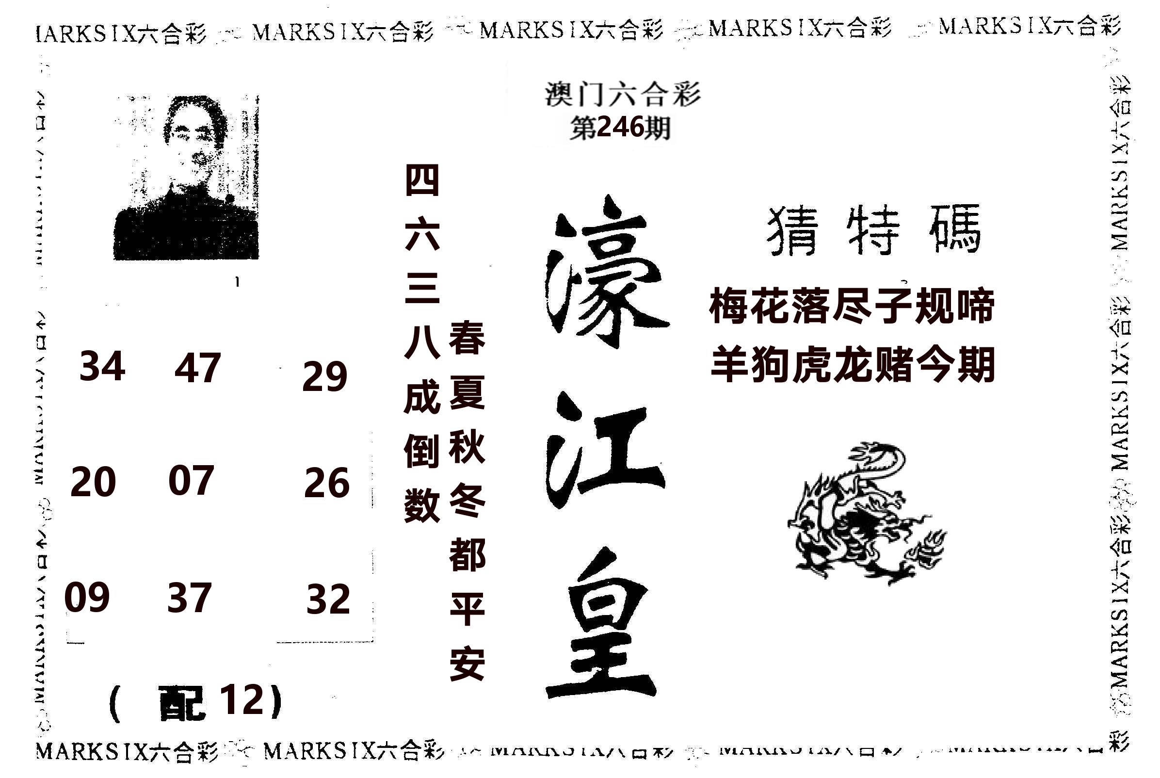 濠江皇 第246期