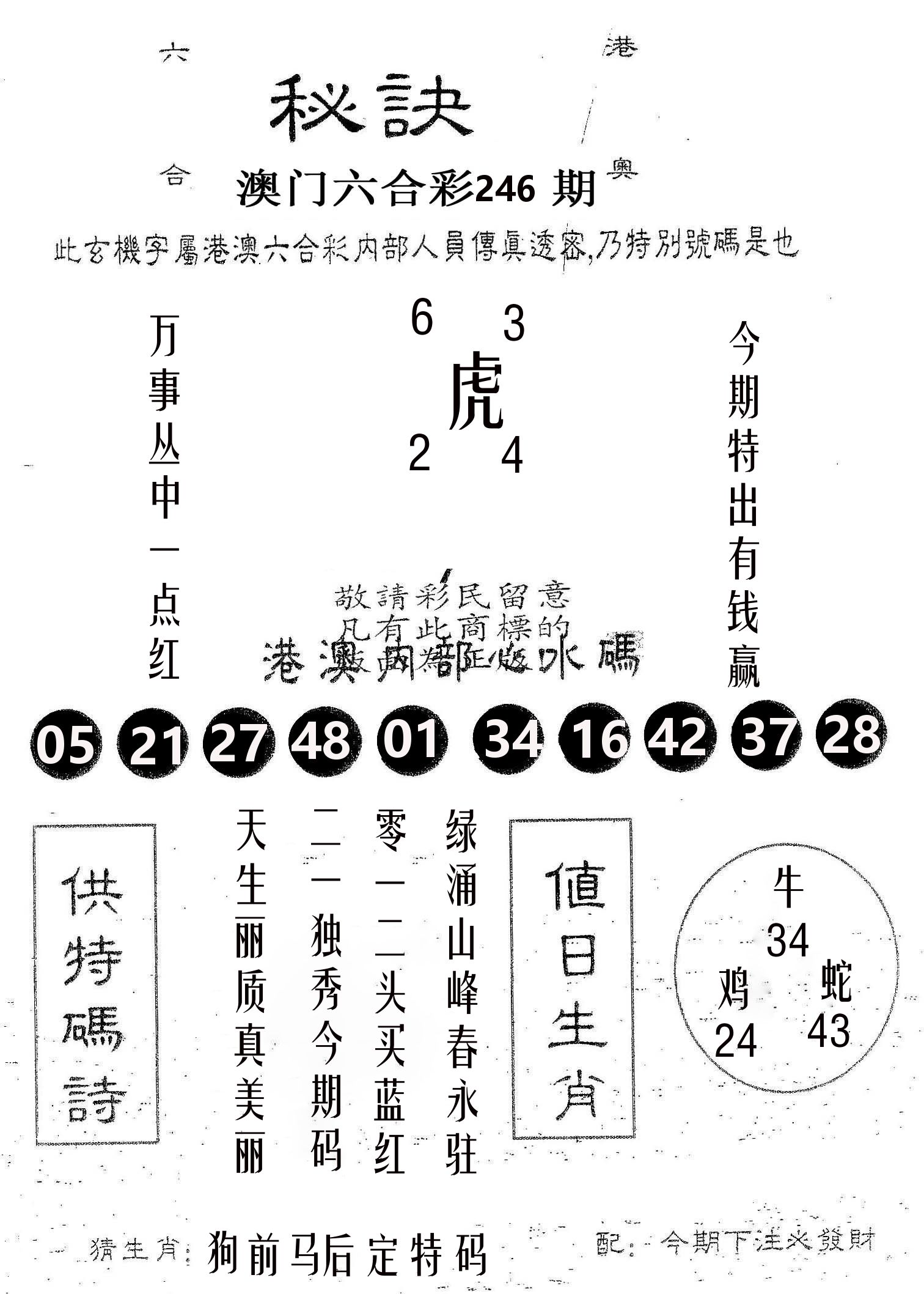 秘决 第246期