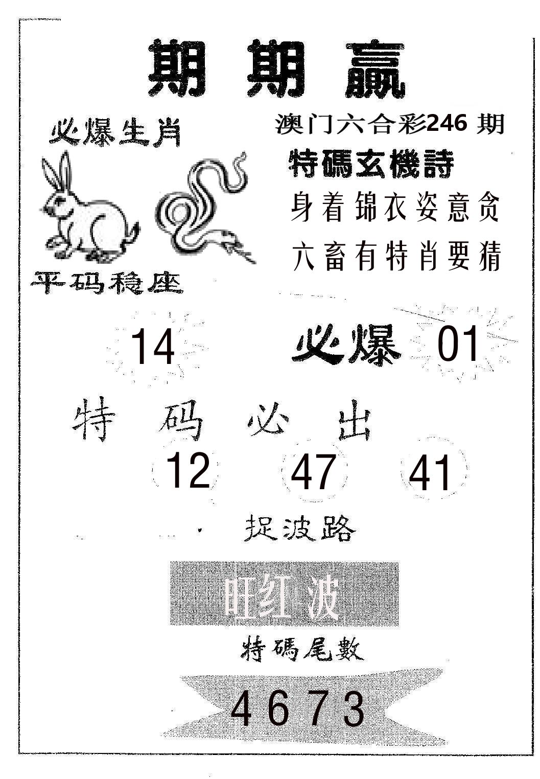 期期赢 第246期