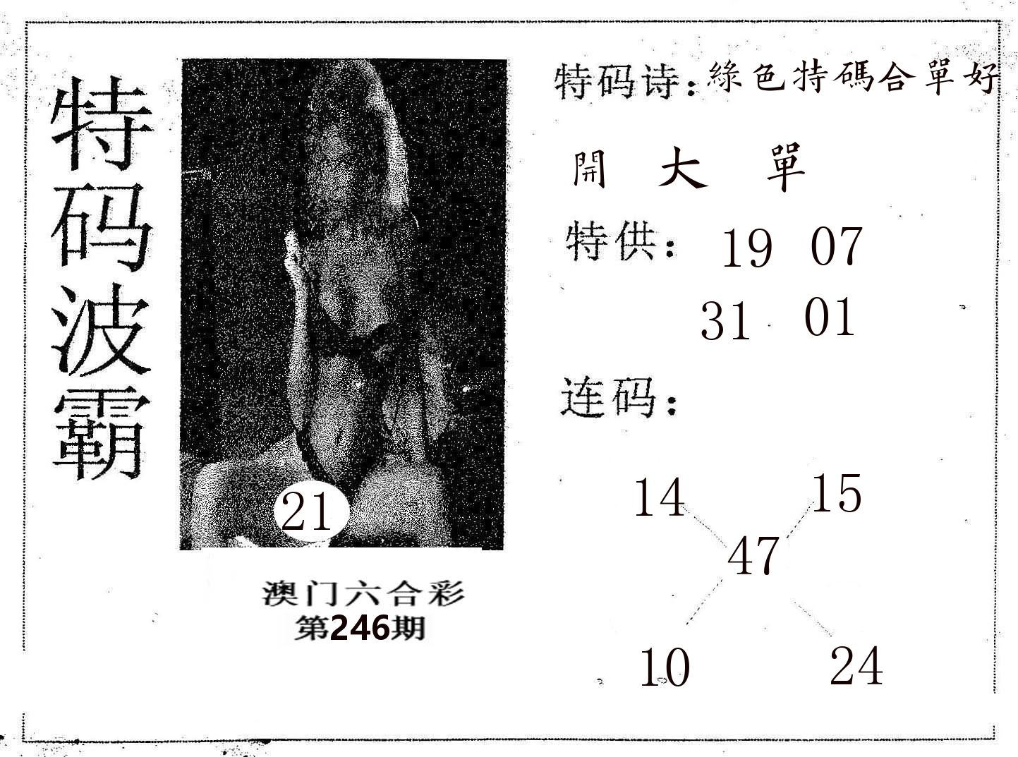 特码波霸 第246期