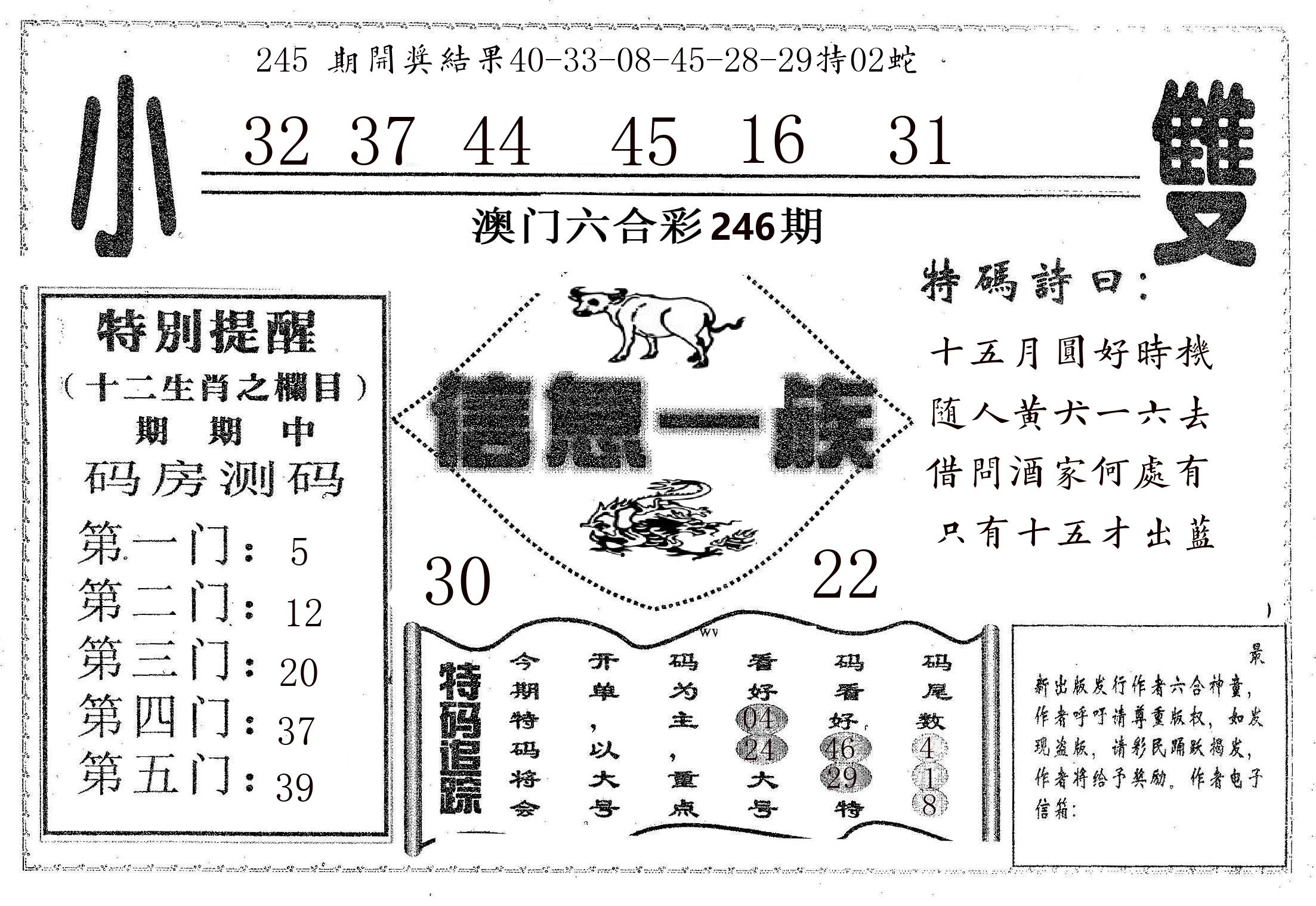 信息一族 第246期