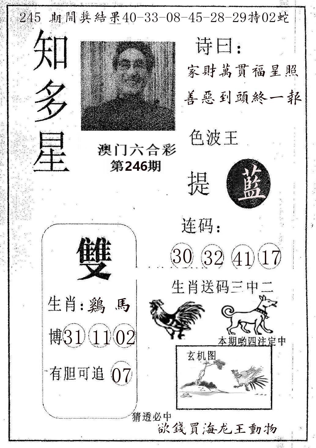 知多星 第246期