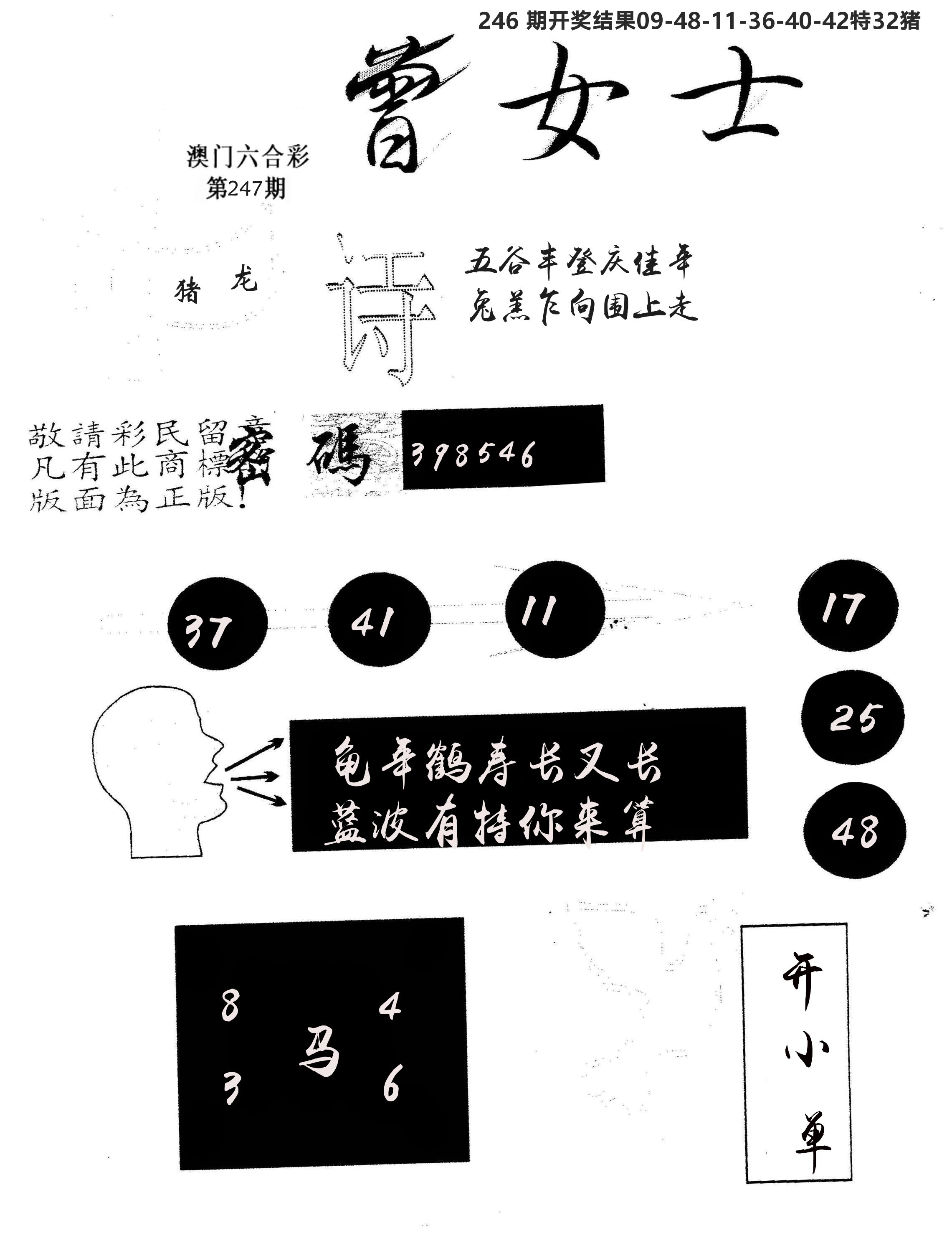 另版曾女士百灵鸟 第247期