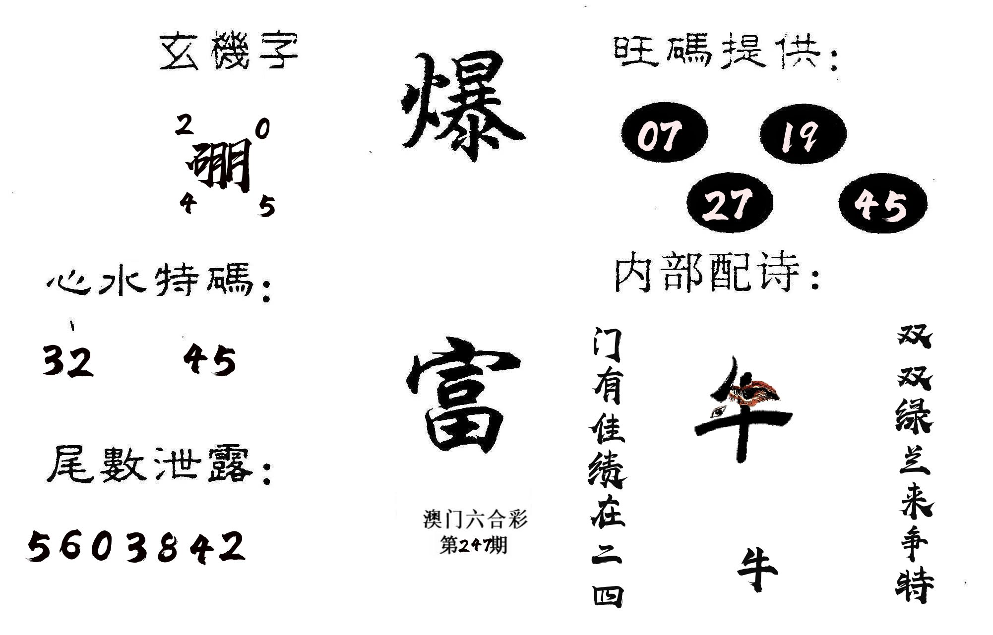 爆富 第247期