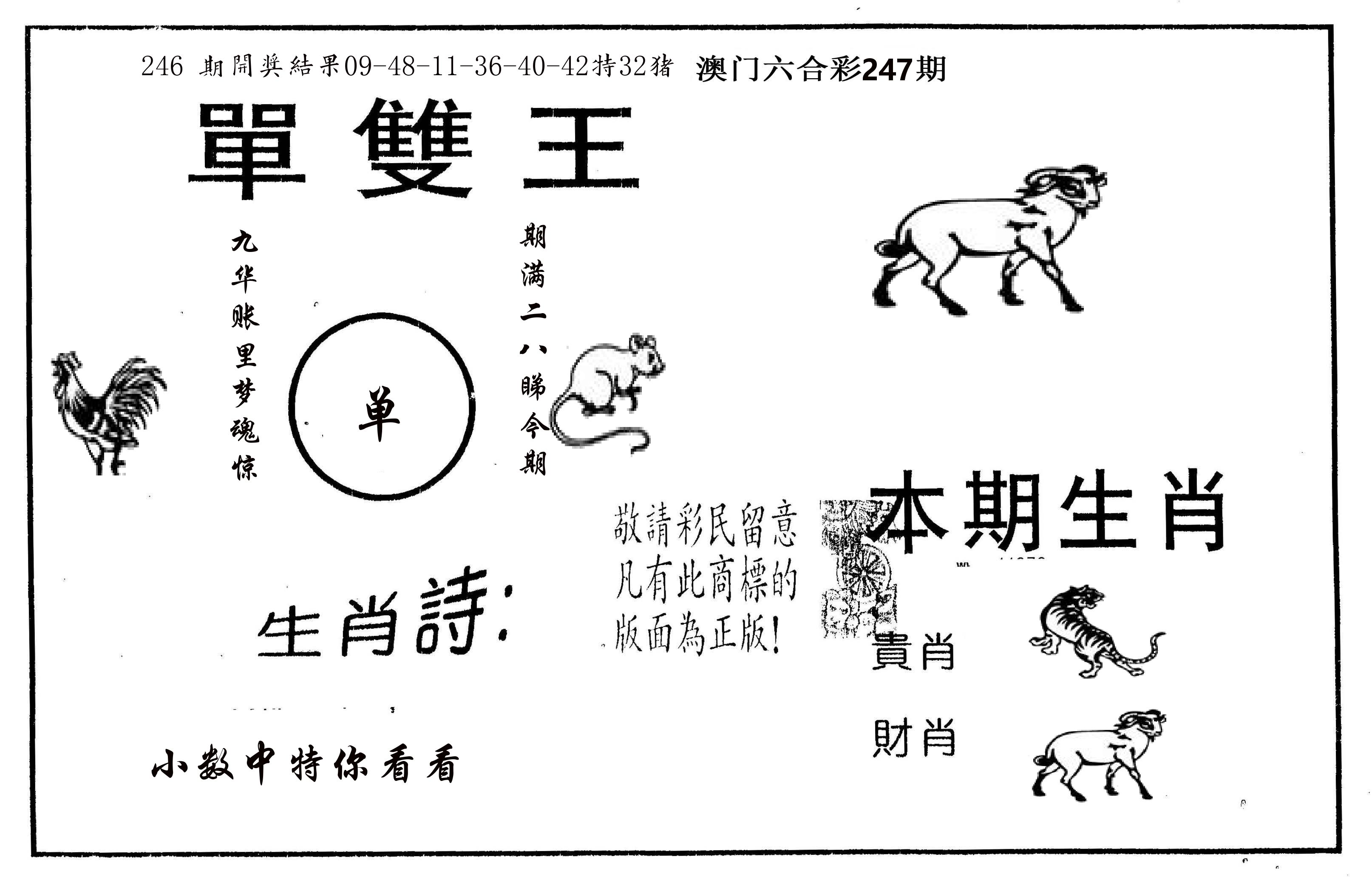 单双王A 第247期