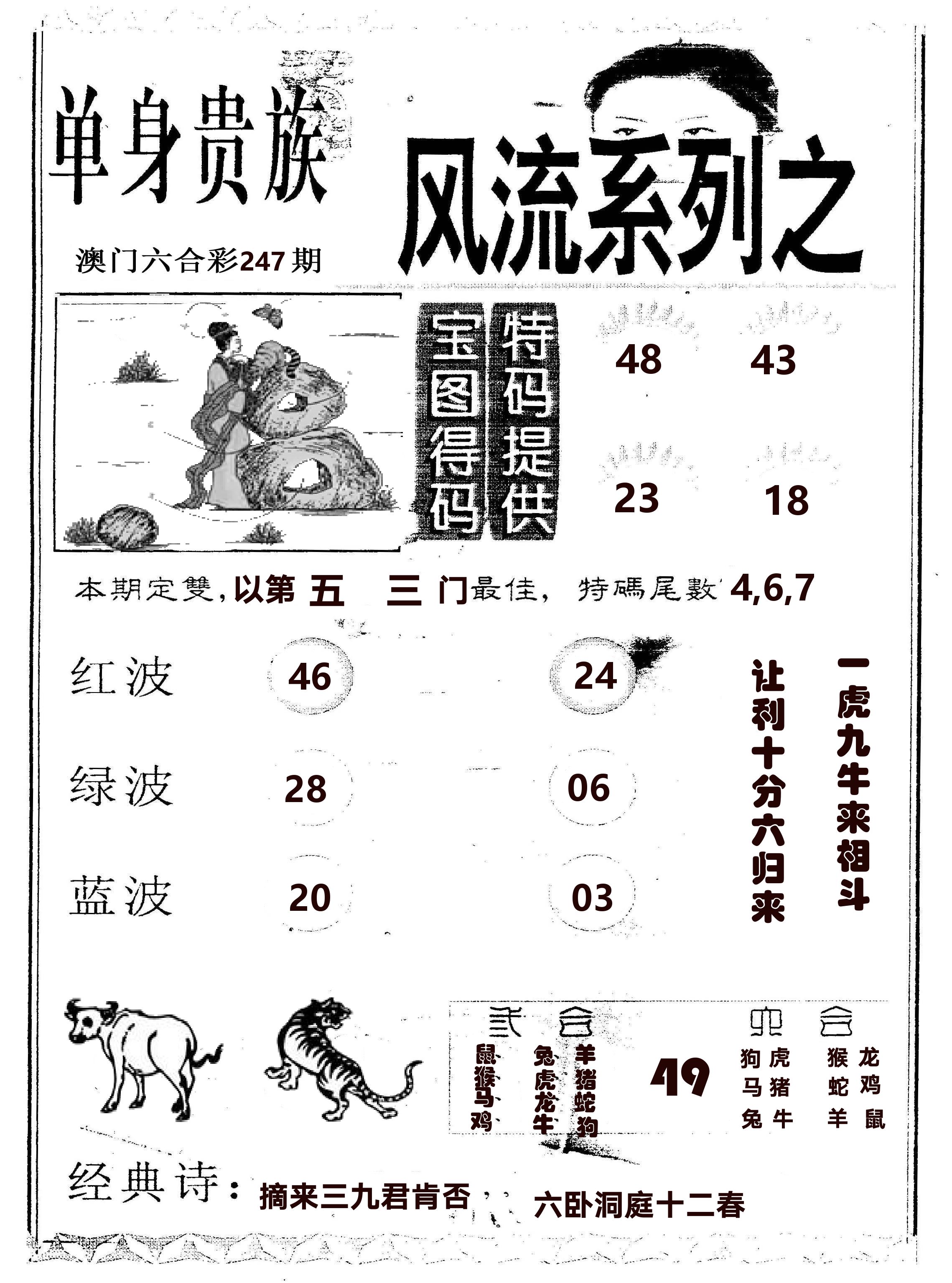 风流系列-2 第247期