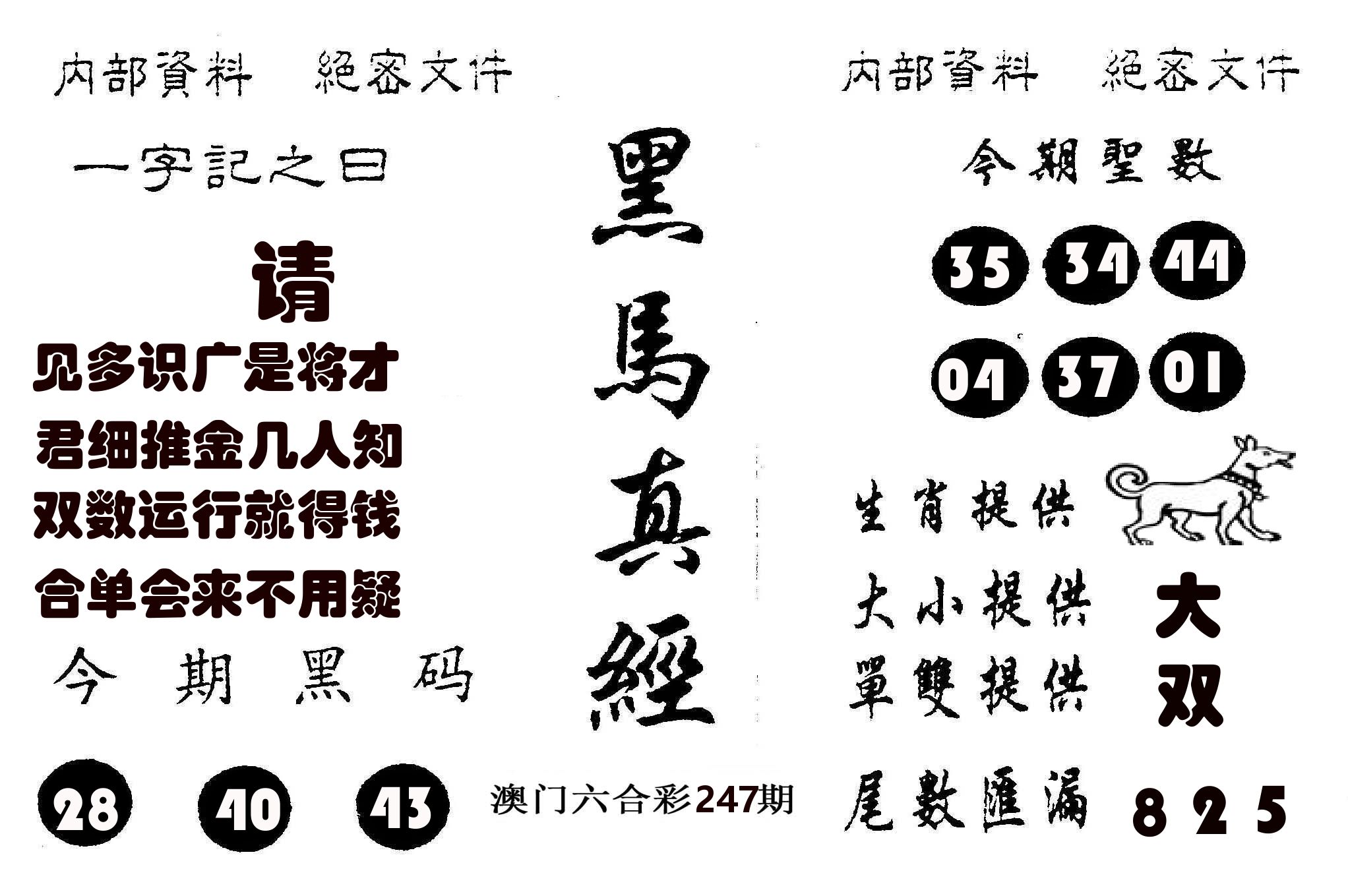 黑马真经 第247期