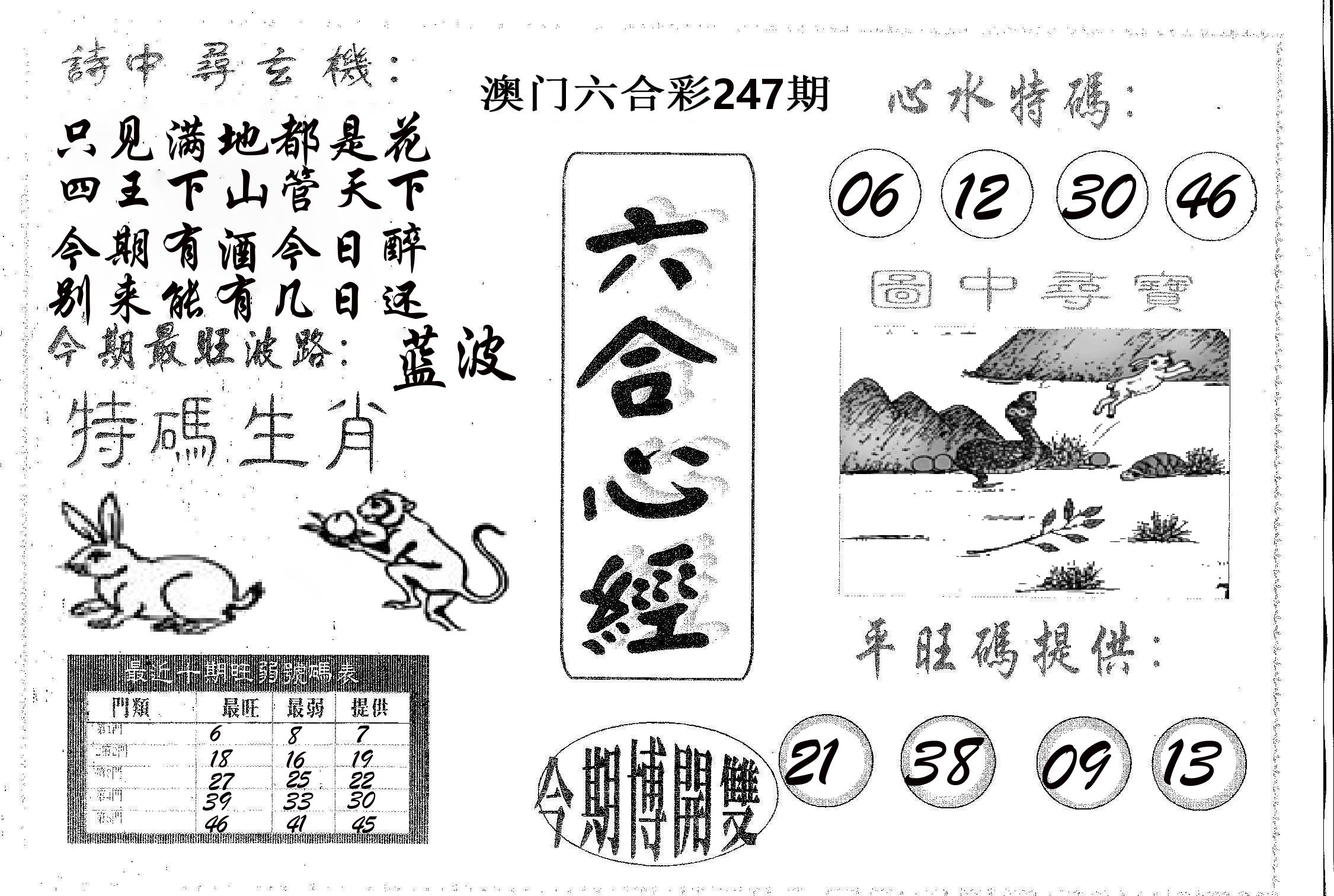 六合心经 第247期