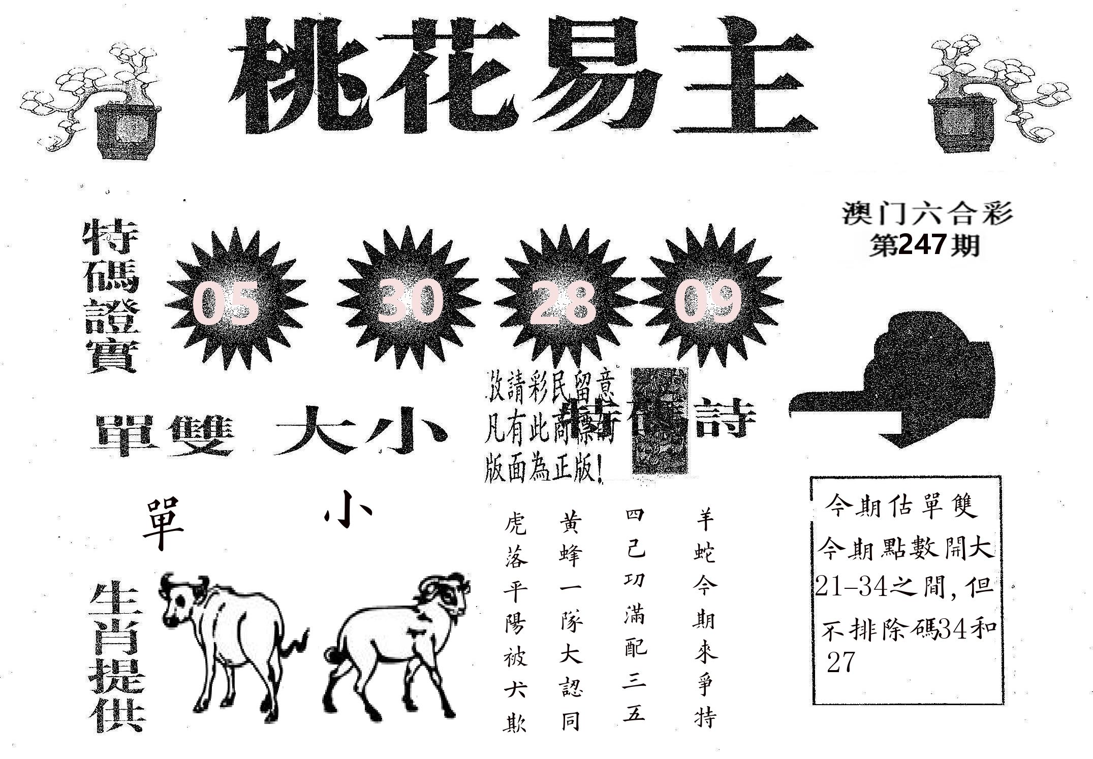 桃花易主 第247期