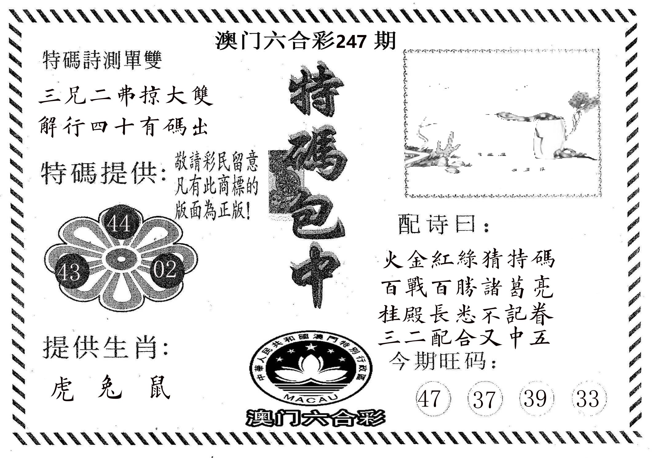特码包中 第247期