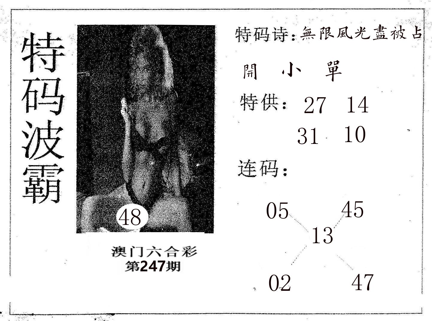特码波霸 第247期