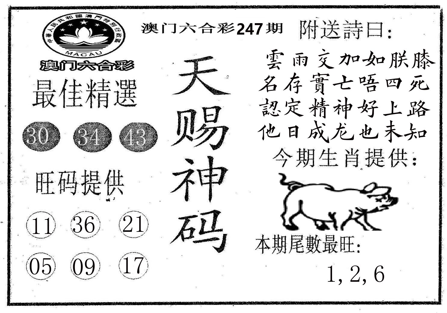 天赐神码 第247期