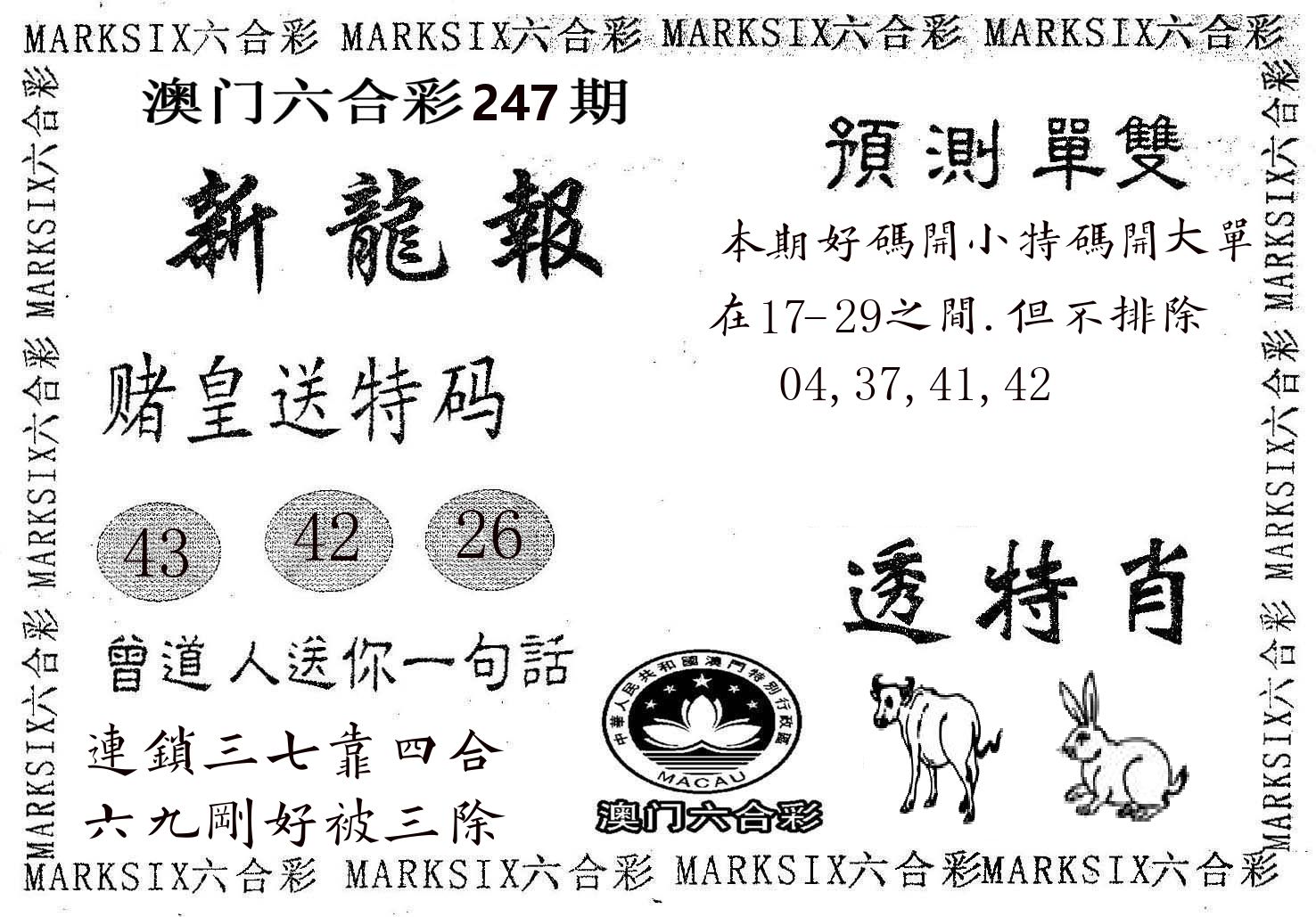 新龙报 第247期