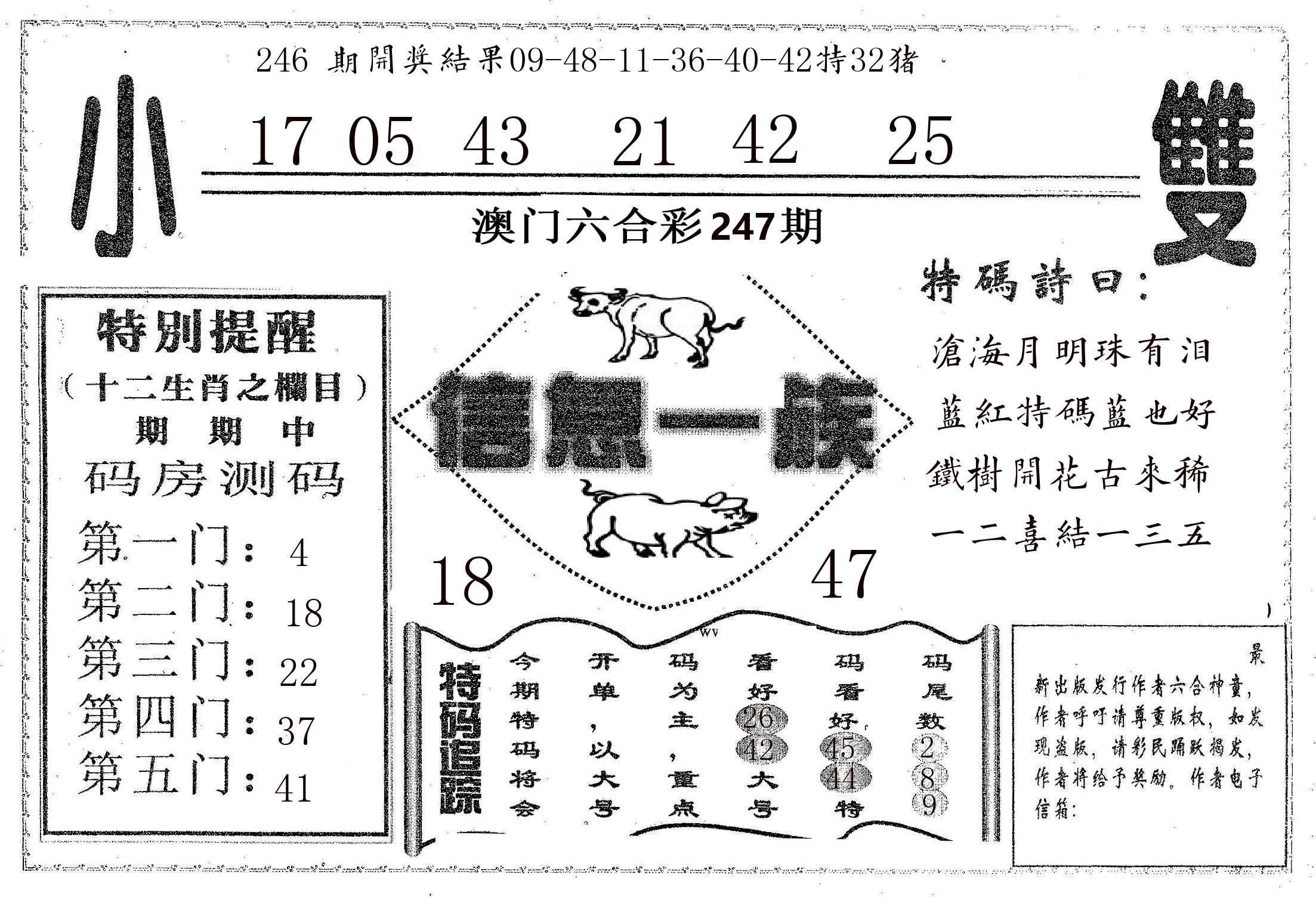 信息一族 第247期