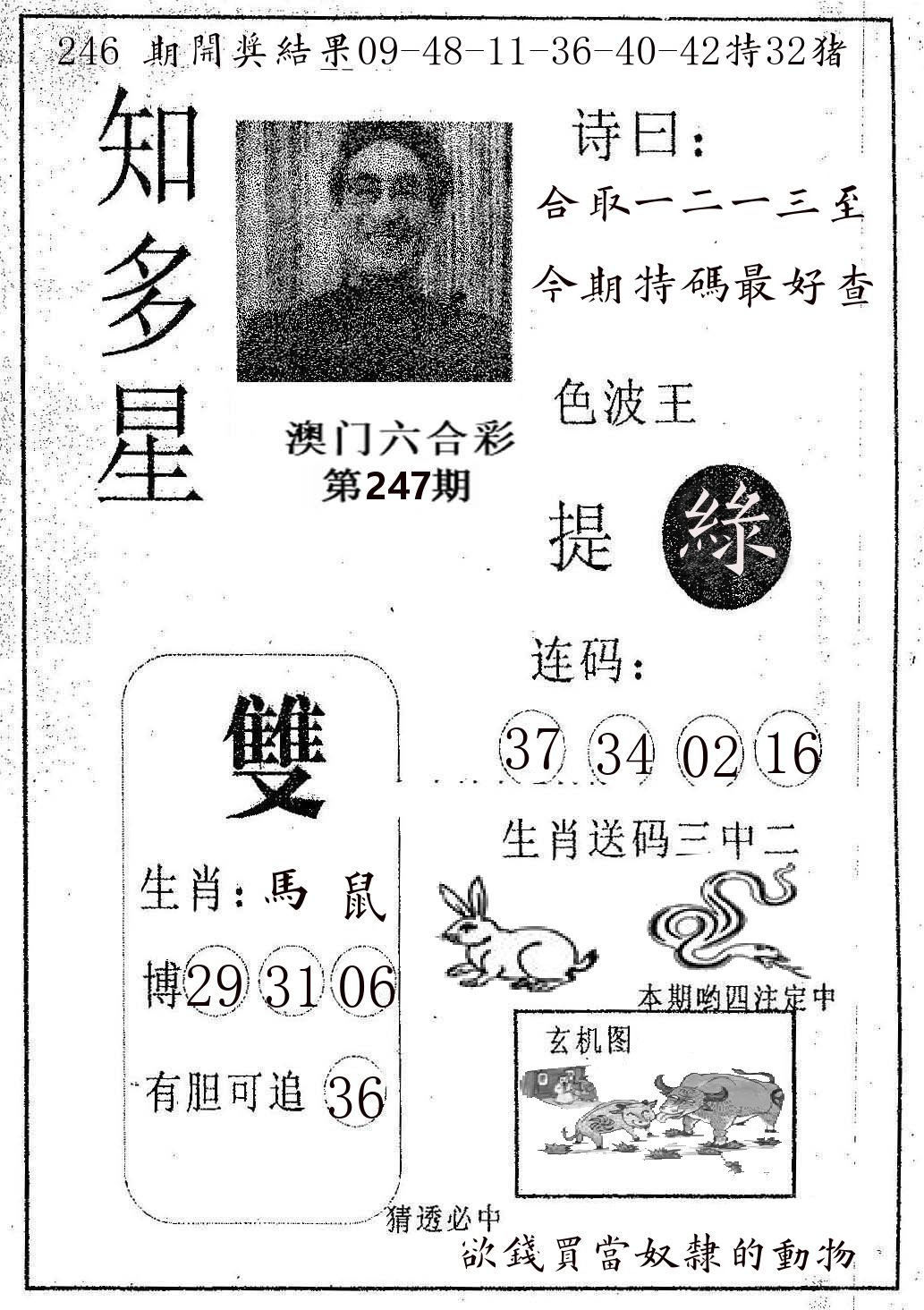 知多星 第247期