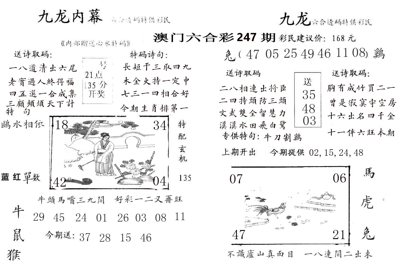 九龙内幕 第247期