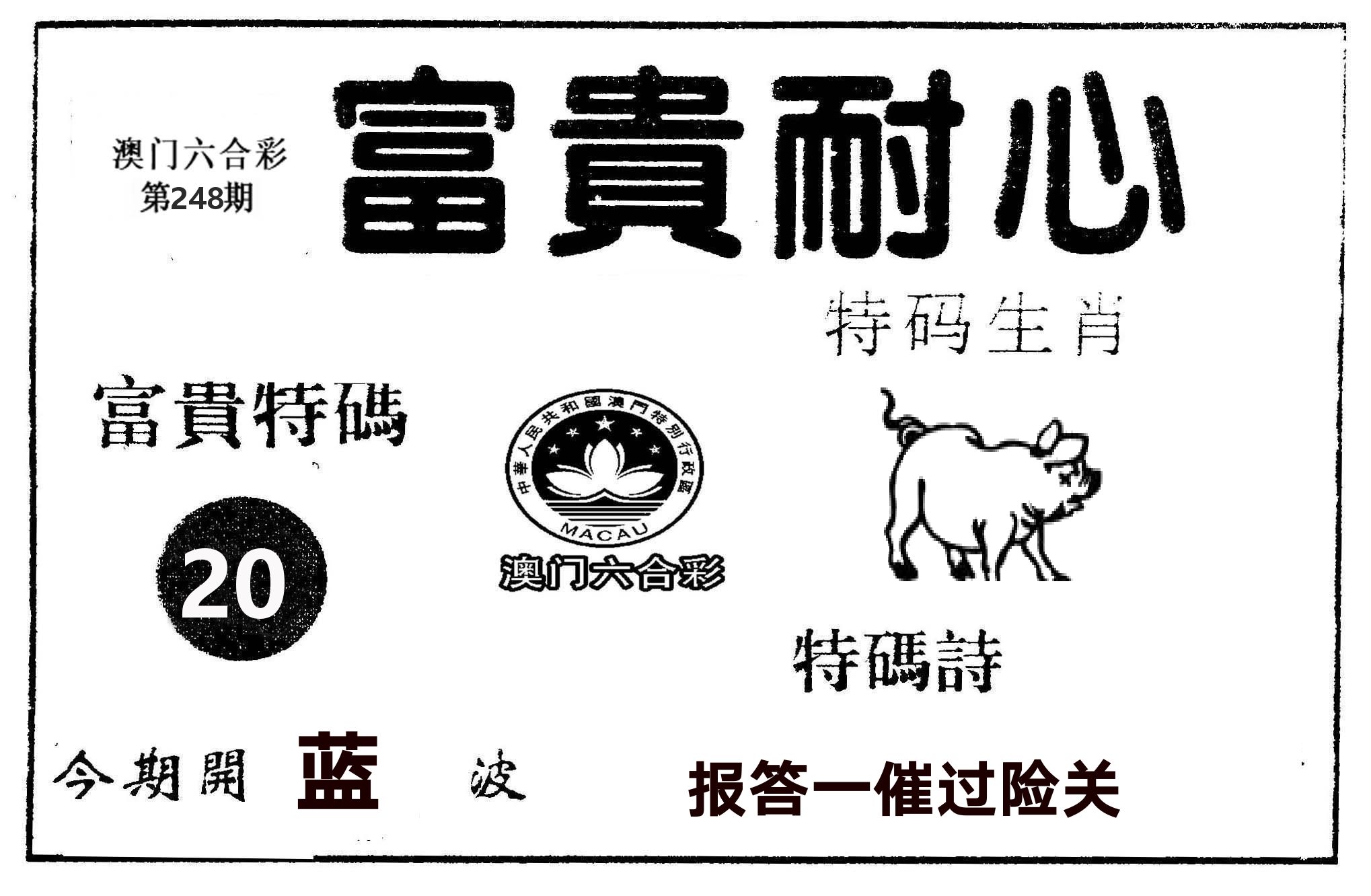 富贵耐心 第248期