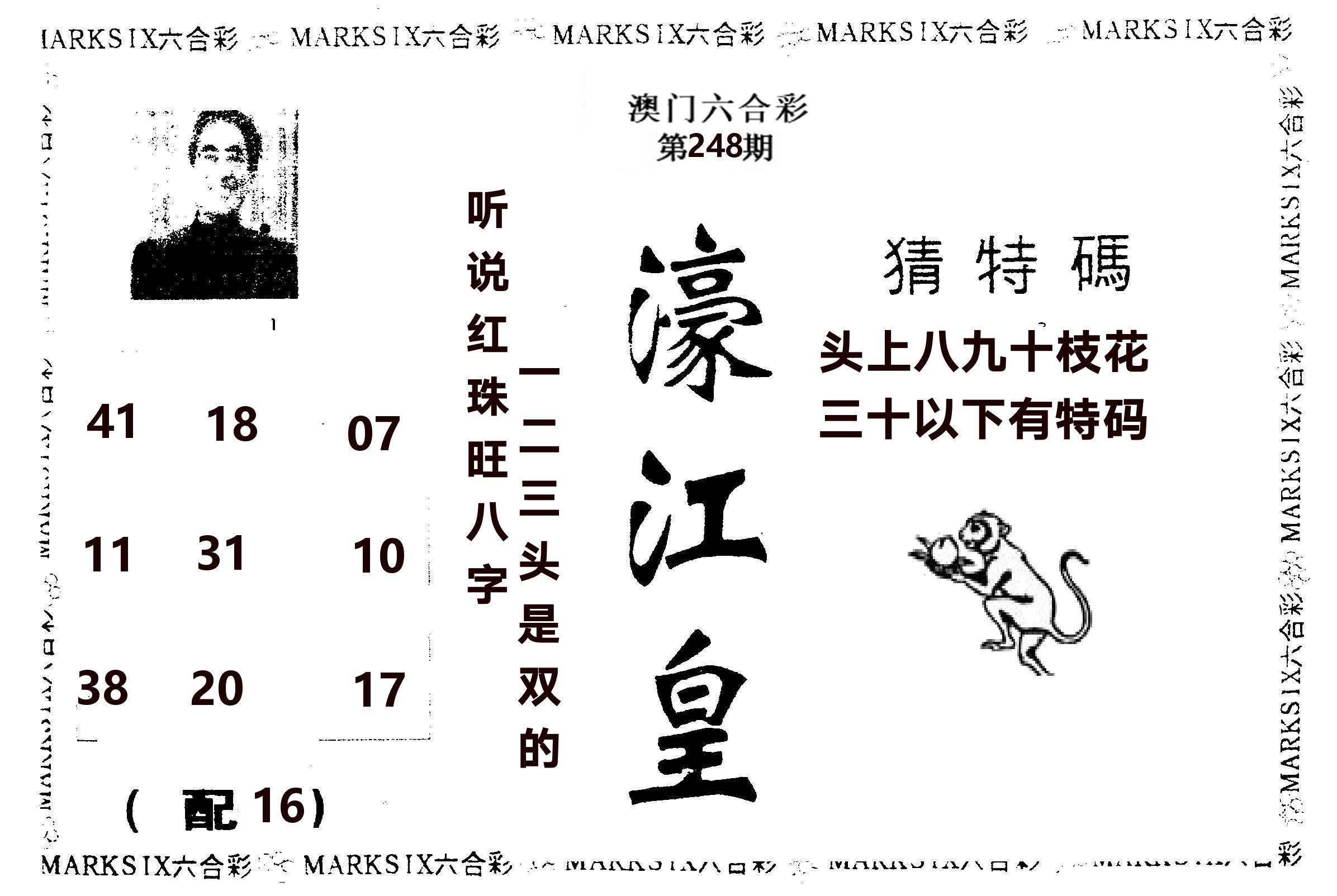 濠江皇 第248期